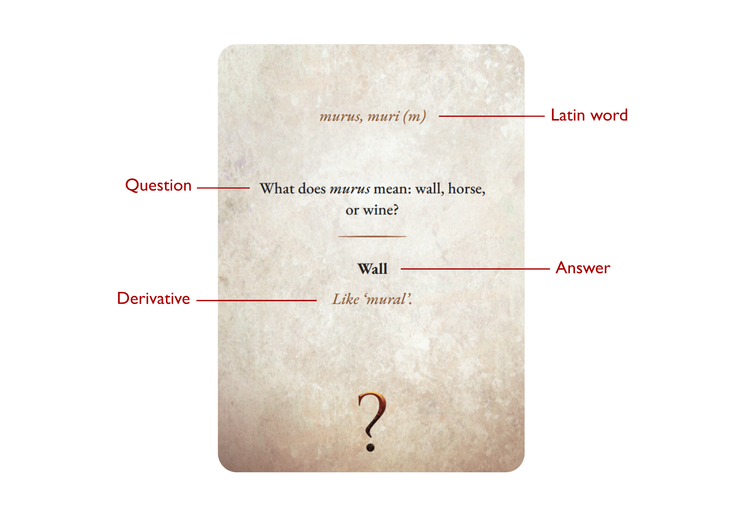 LatinVocabCard.png