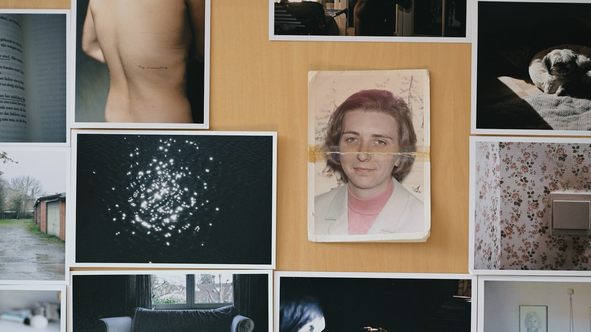 A collage of various photographs pinned to a corkboard, including a portrait of a woman with short hair, a dog resting in sunlight, a book page, a sparkly water surface, a landscape, a floral patterned wall with a light switch, and some outdoor and indoor scenes.