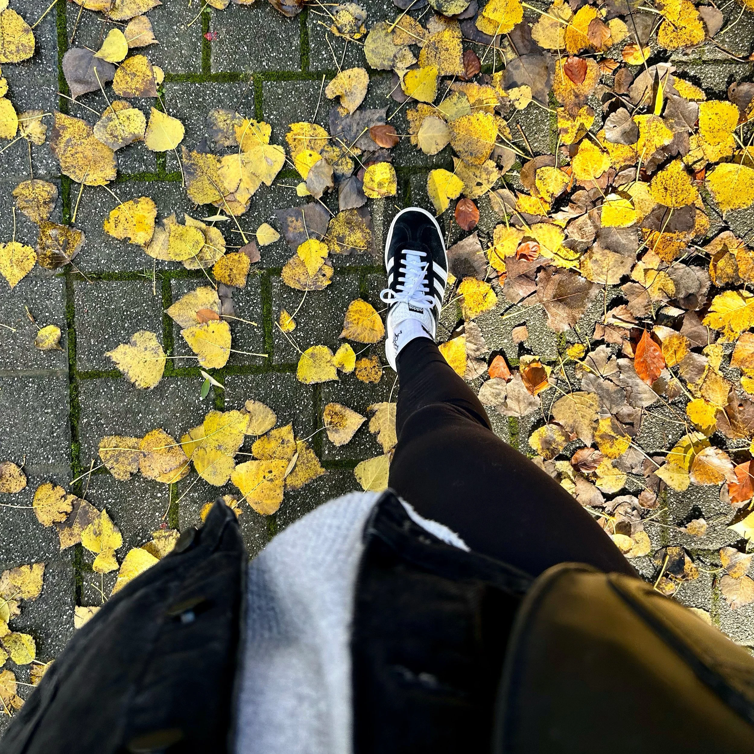 Photo prise du dessus d'une personne qui marche dans des feuilles jaunes automnales
