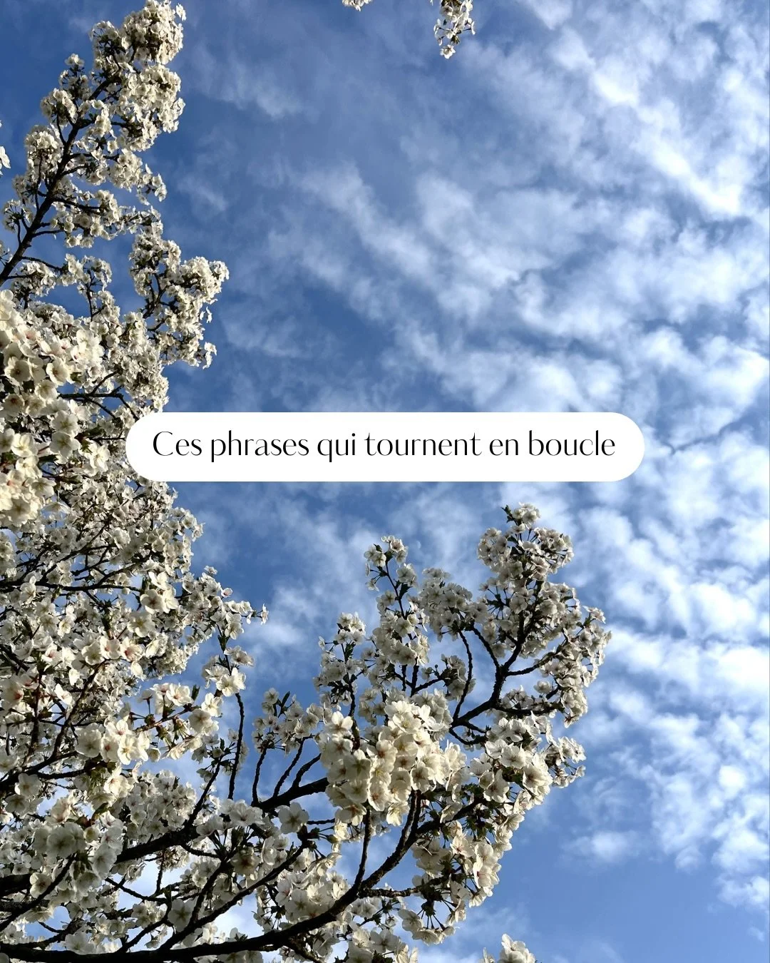 Ces petites phrases qui me reviennent souvent en t&ecirc;te, je te les partage ici ☁️

Pour la troisi&egrave;me elle provient d&rsquo;un livre &laquo;&nbsp;I still believe in miracles&nbsp;&raquo; de Lucas Jones