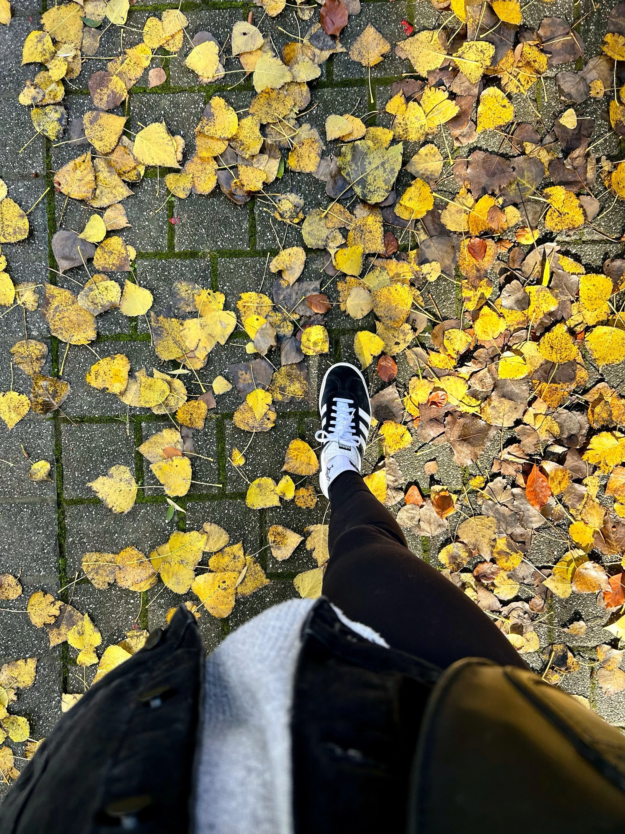 Honorer et célébrer l’arrivée de l’automne