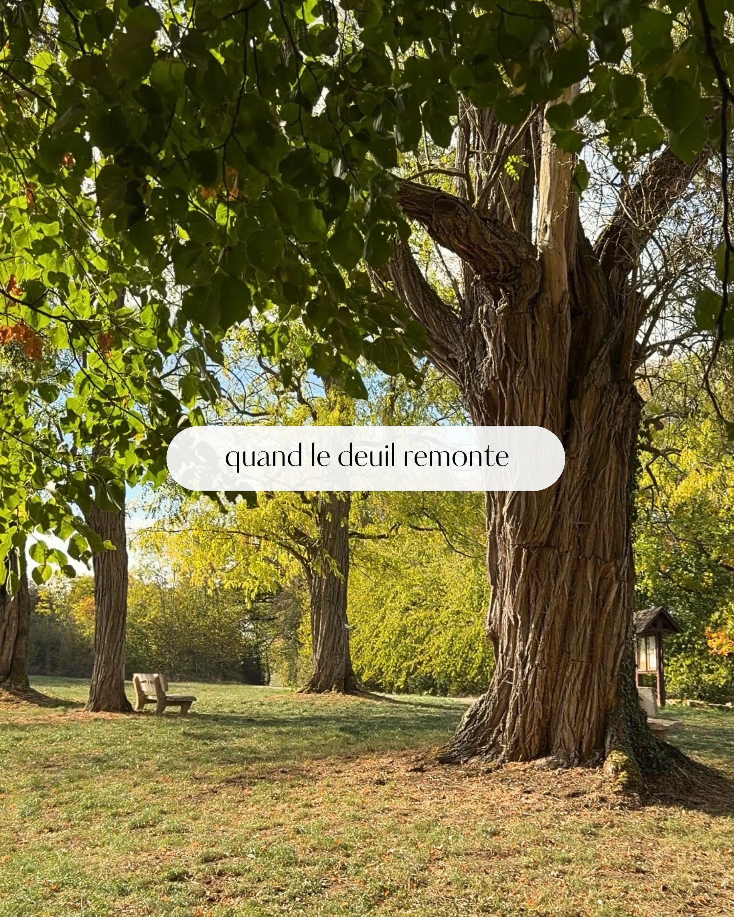 Deux ans d&eacute;j&agrave;, parfois &ccedil;a me semble long et parfois &ccedil;a me semble court.

Deux ann&eacute;es o&ugrave; j&rsquo;ai pu sortir de la phase aigu&euml; du deuil, et o&ugrave; j&rsquo;ai eu le temps de le voir repointer le bout d