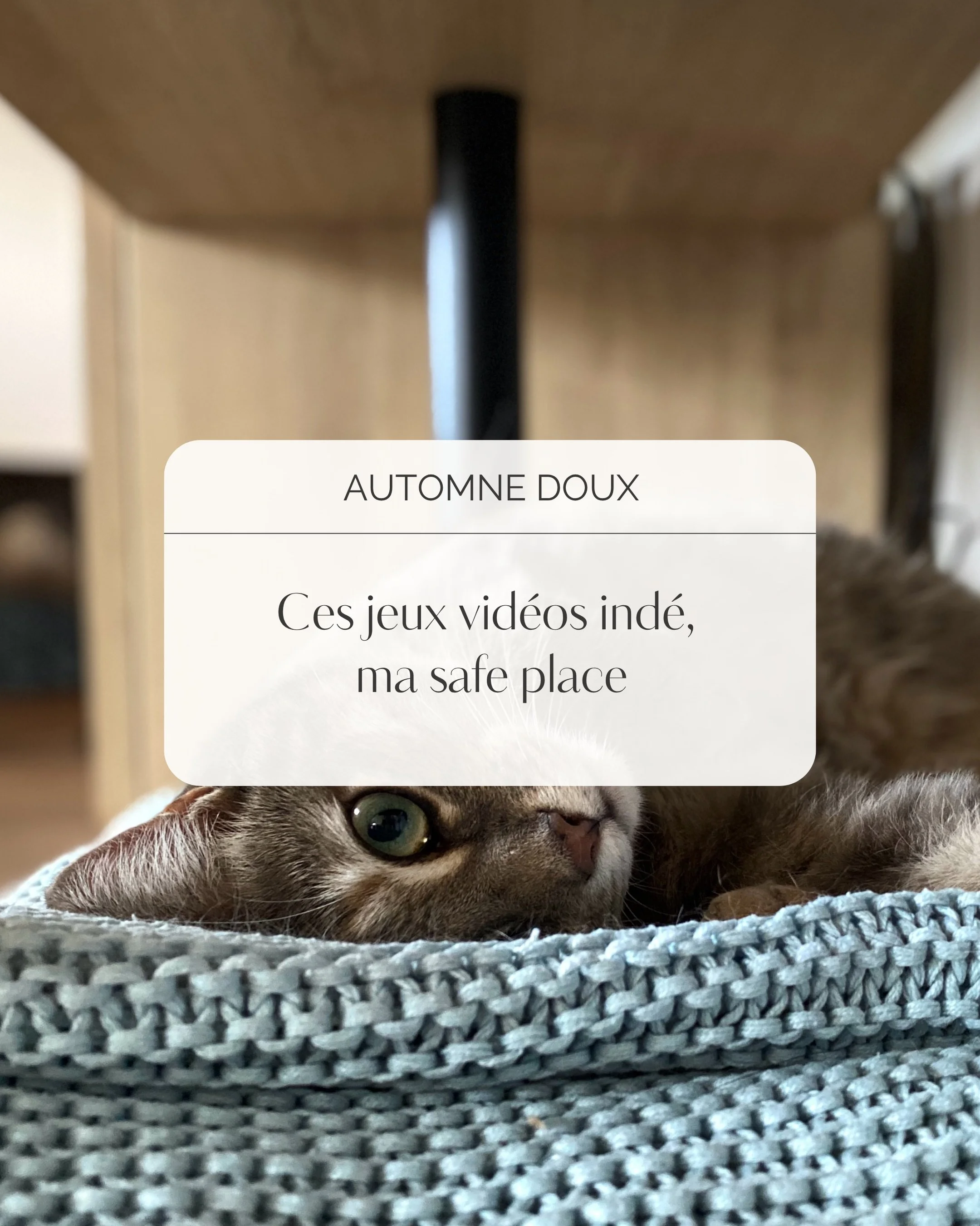 Si vous avez des jeux ind&eacute;pendants que vous aimez n&rsquo;h&eacute;sitez pas &agrave; me les partager, d&rsquo;autant plus avec le temps automnal qui s&rsquo;est enfin install&eacute; ☁️