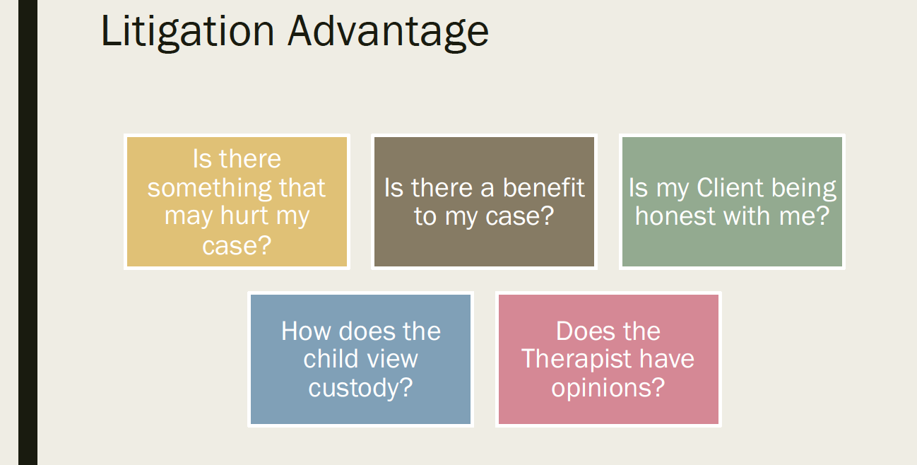 Slide titled 'Litigation Advantage' with five colored boxes, each containing questions related to legal case considerations.