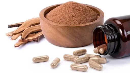 What Are Mushroom Supplements?