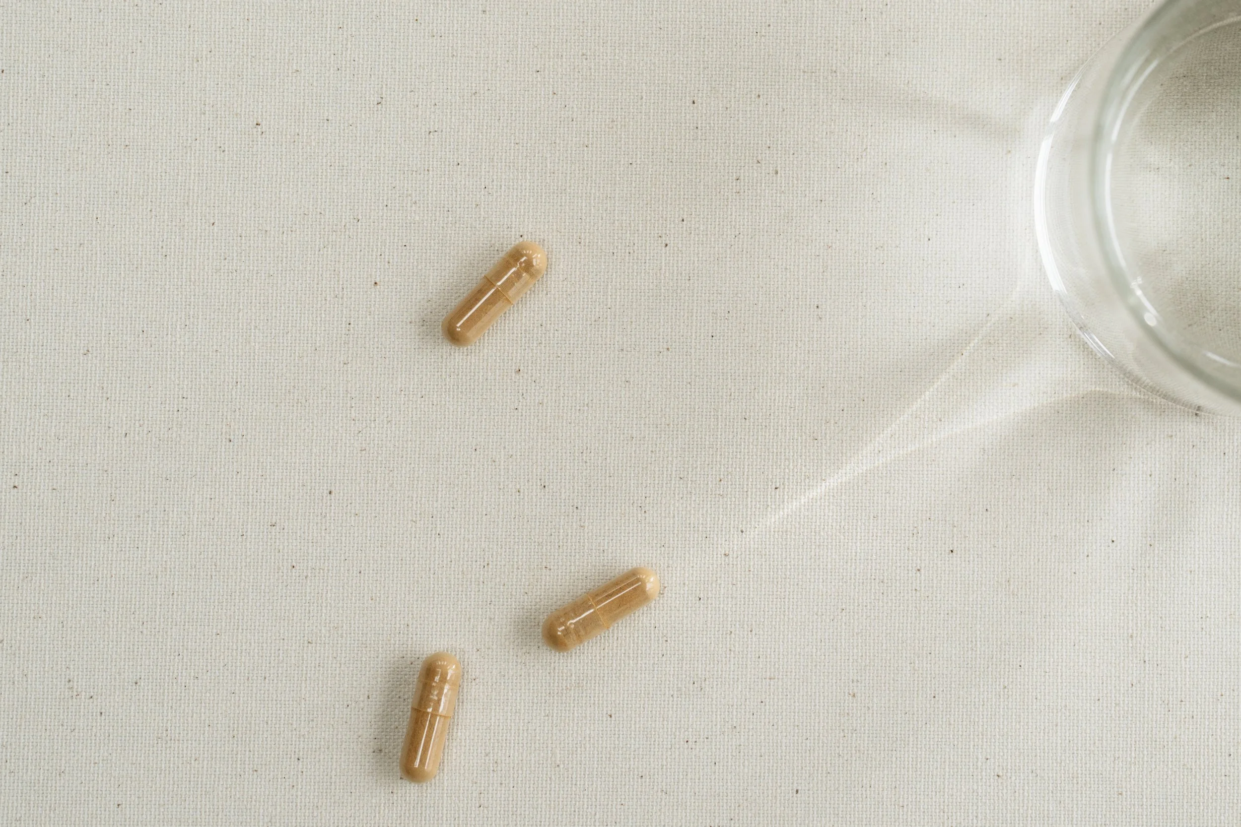 Cordyceps Capsules