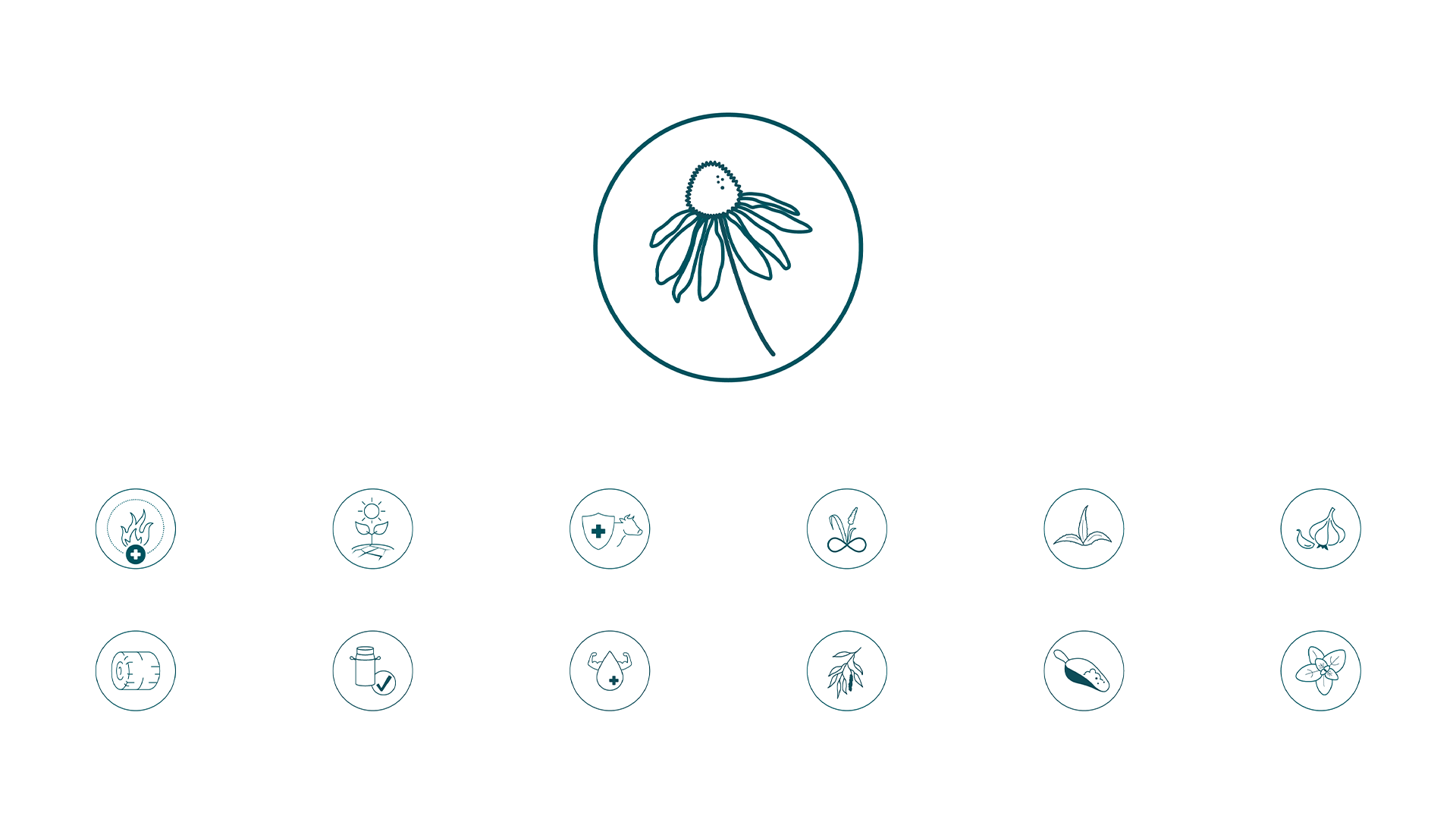 Nutristar icons for Arbora