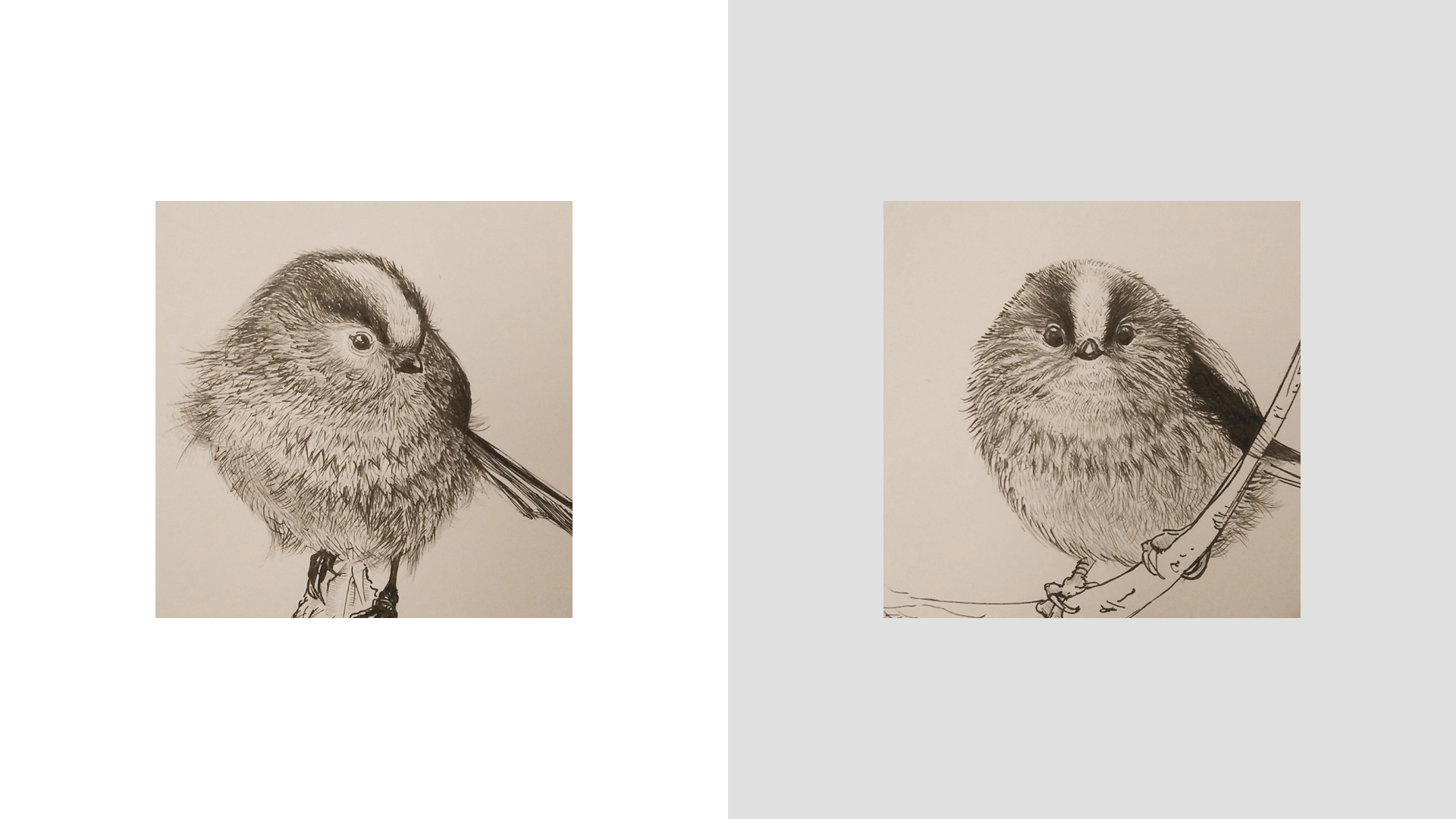 Personal ink illustrations