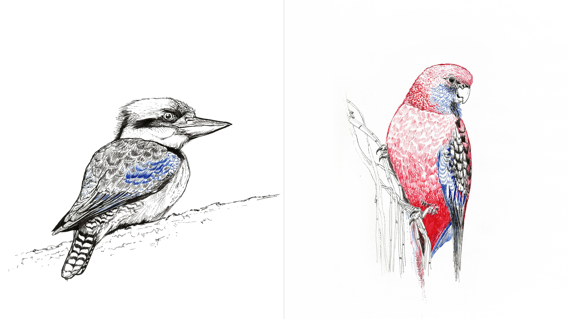 Personal ink illustrations