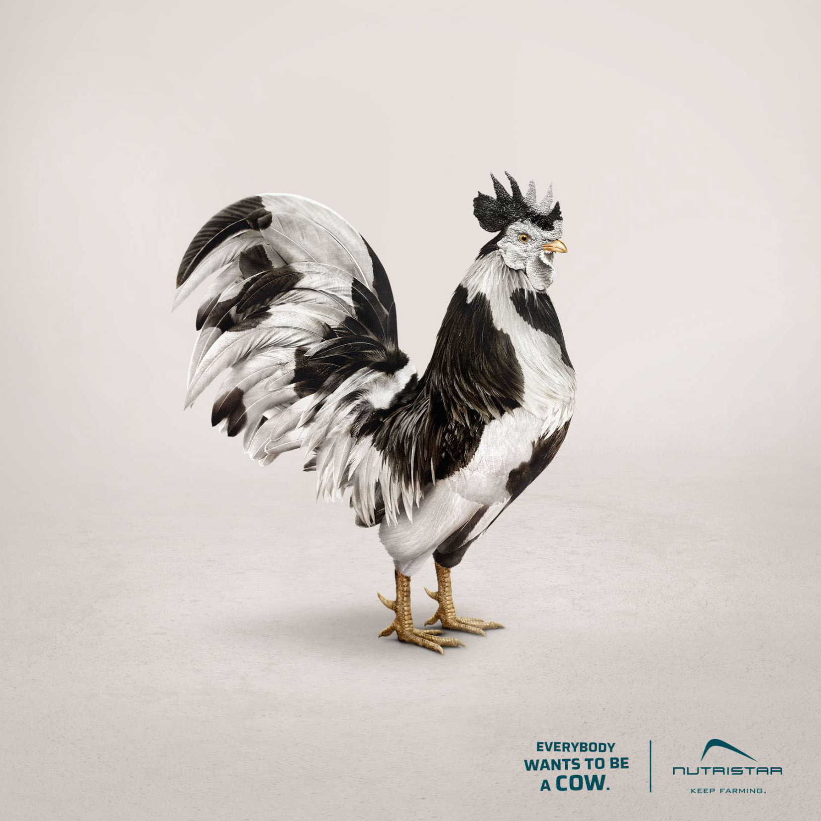 nutristar_sq_rooster.png
