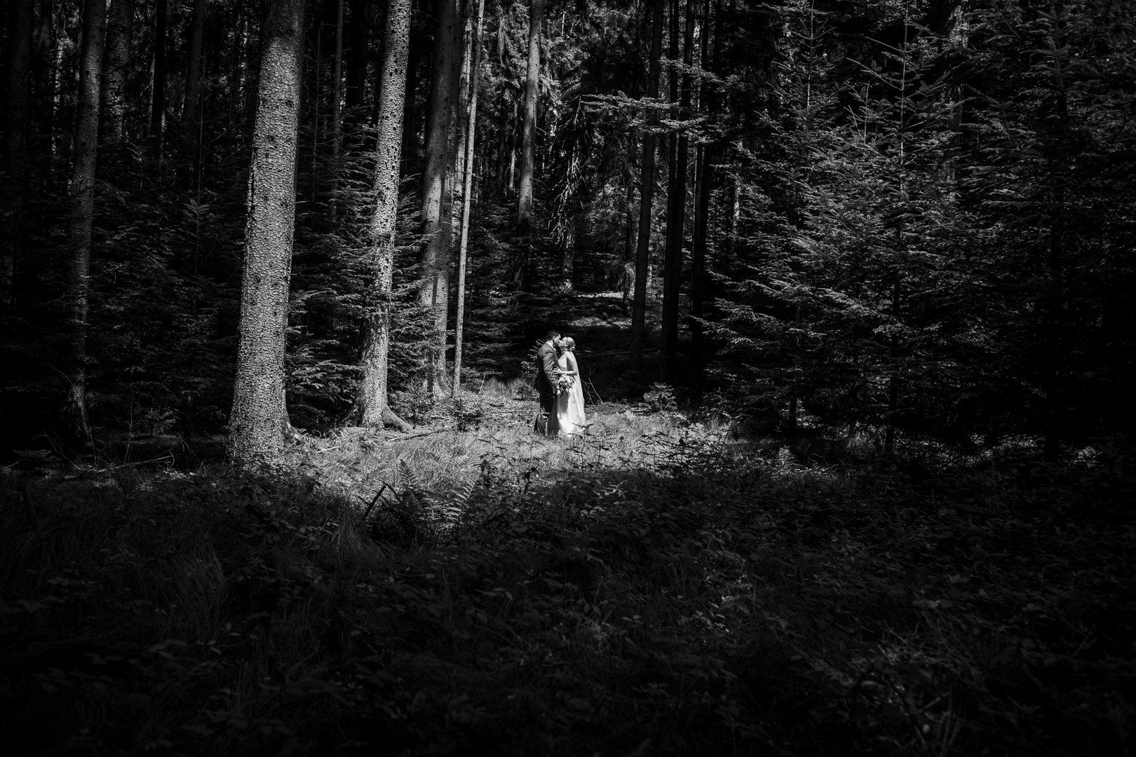 Ein Brautpaar steht in einem dunklen Wald, in der Mitte noch hell erleuchtet. Emotionale Hochzeitzsfotos