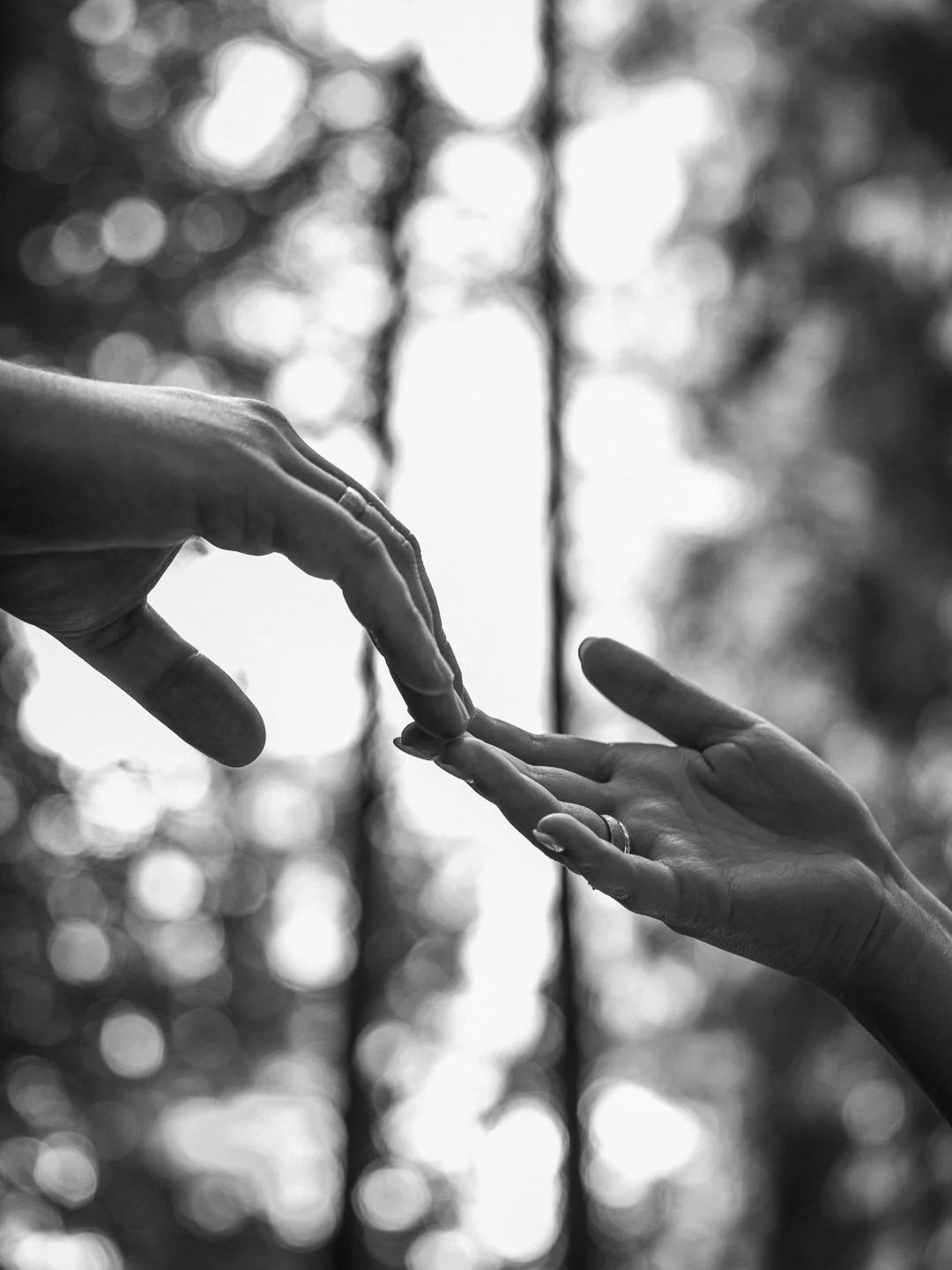 Zwei Hände, die sich fast berühren, vor einem unscharfen Baum im Hintergrund, Schwarz-Weiß-Fotografie. Ästhetische Hochzeitsfotos