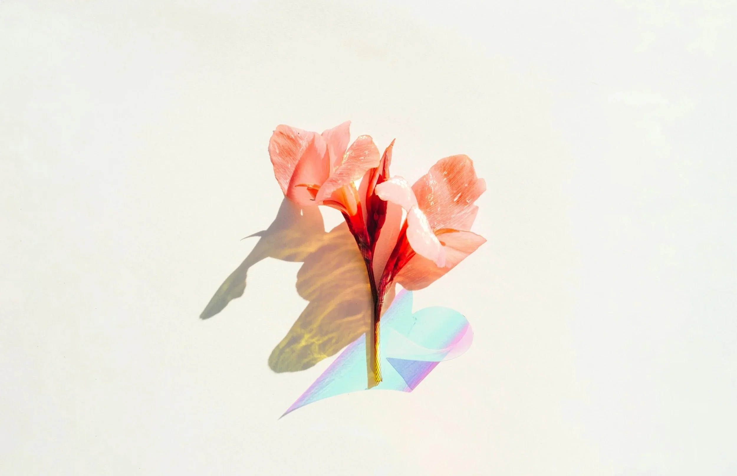 SIT EWC Workshop | 18 March 2026 - FULL