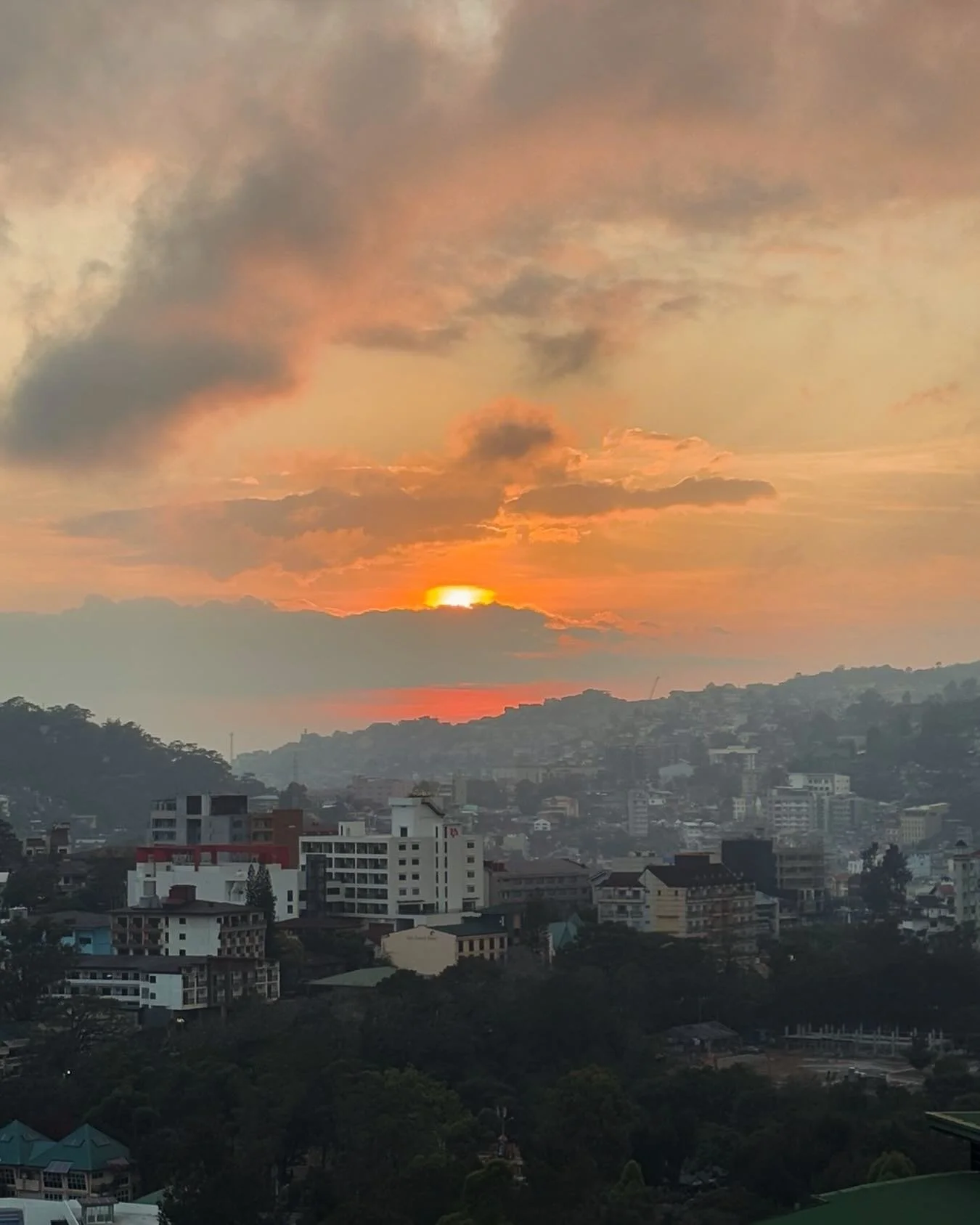 Golden hour over the City of Pines ✨🍃💛