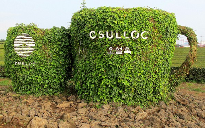 O’sulloc Tea Museum & O'sulloc Cafe.jpg