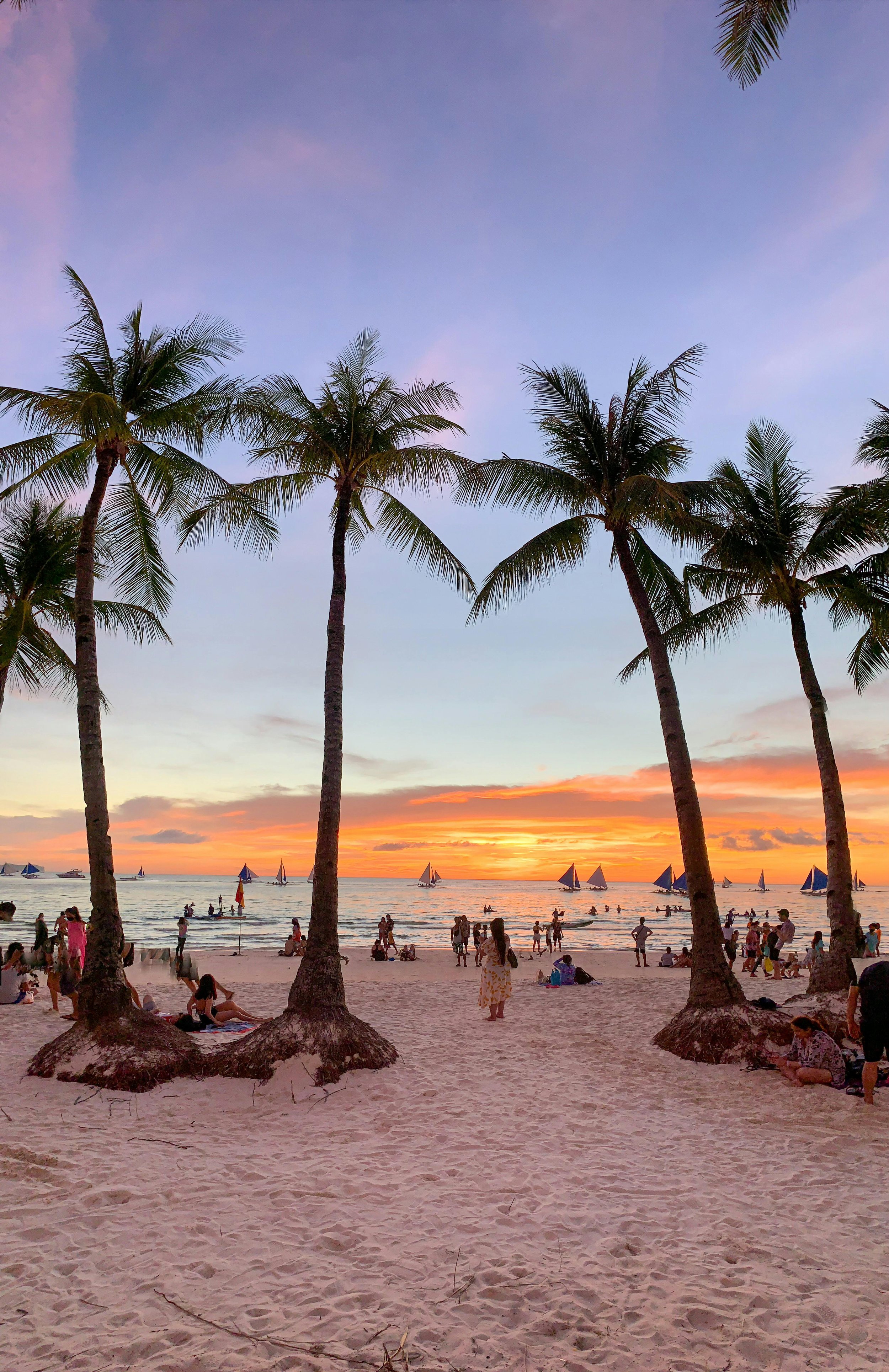 Sunset over a beach with palm trees, sailboats on the water, and people enjoying the evening on the sandy shore.