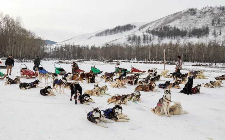 Optional Dog Sledding Experience.jpg