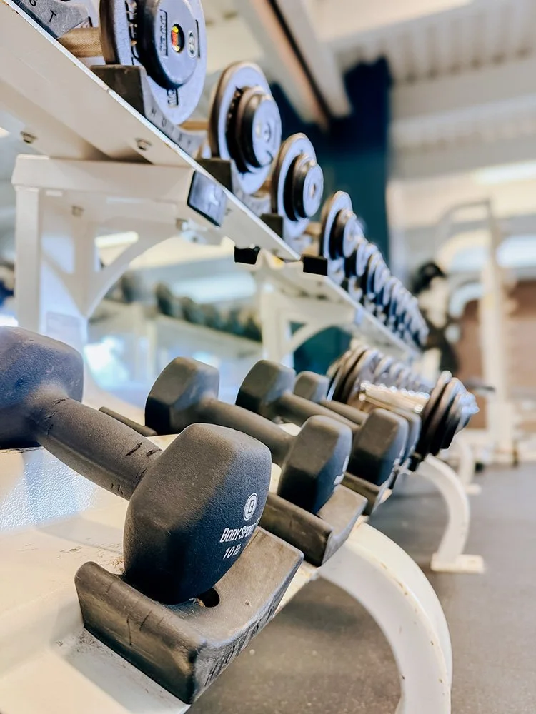 Row of black dumbbells on a white rack at a gym, with weights of various sizes lined up along the rack.