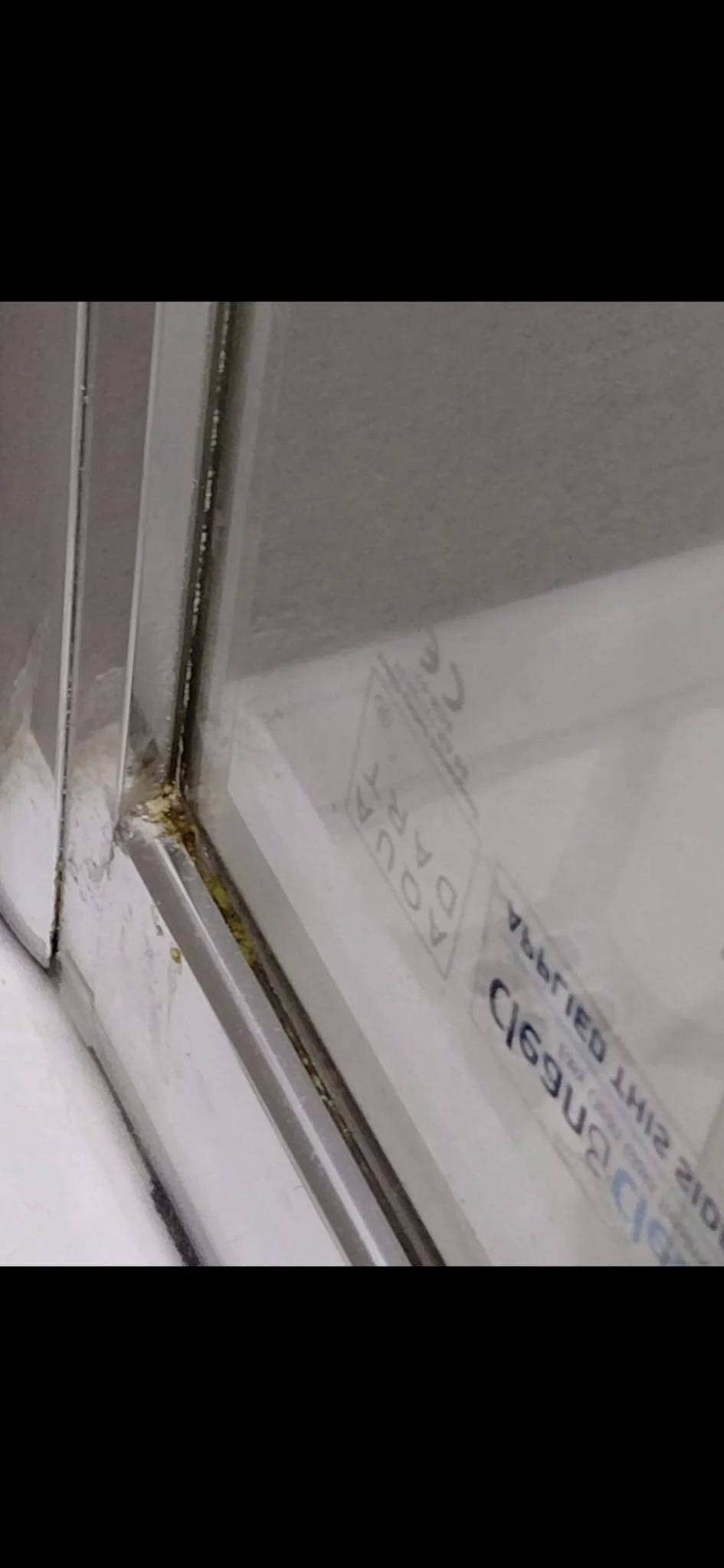 WhatsApp Image 2026-02-28 at 21.38.35.jpeg