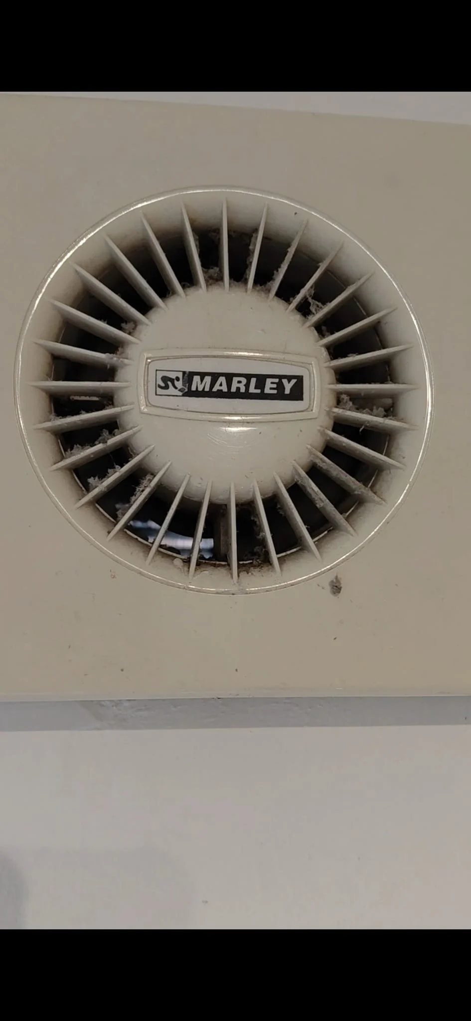 WhatsApp Image 2026-04-01 at 05.37.46 (2).jpeg