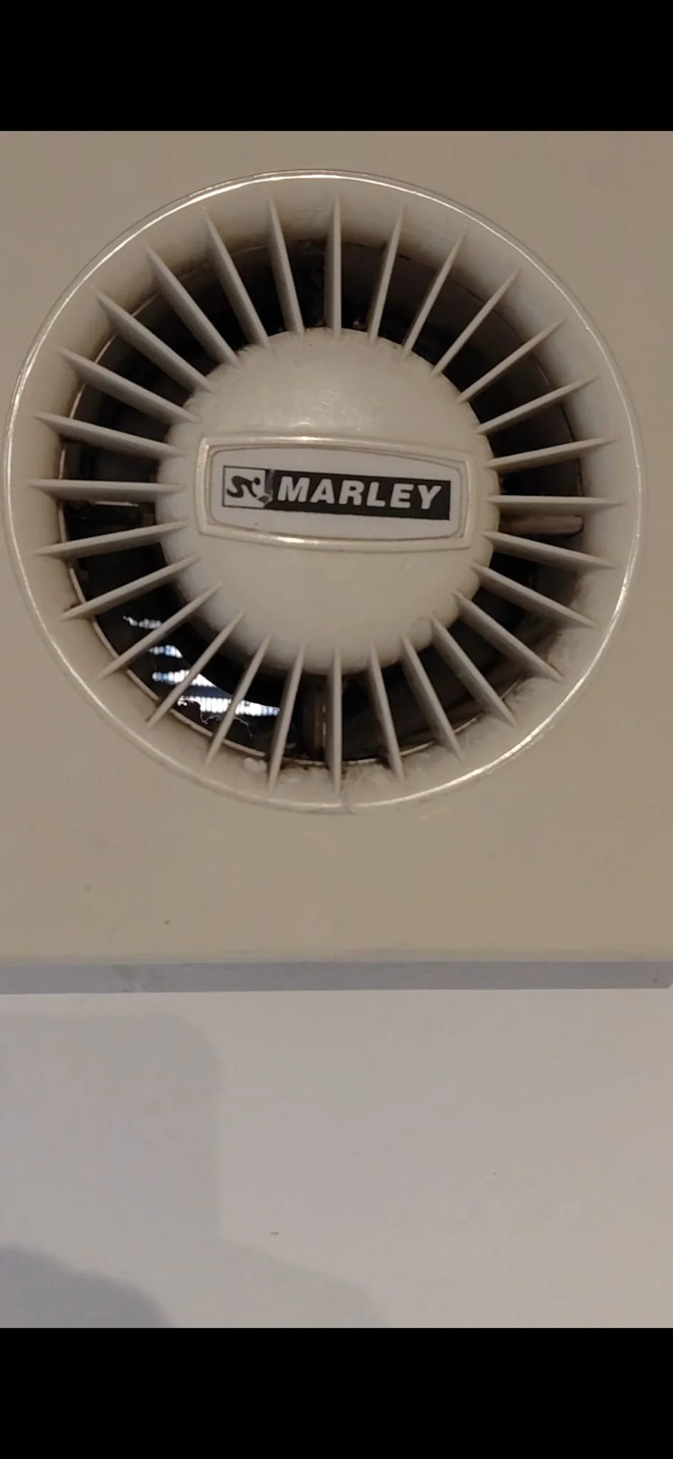 WhatsApp Image 2026-04-01 at 05.37.46 (3).jpeg