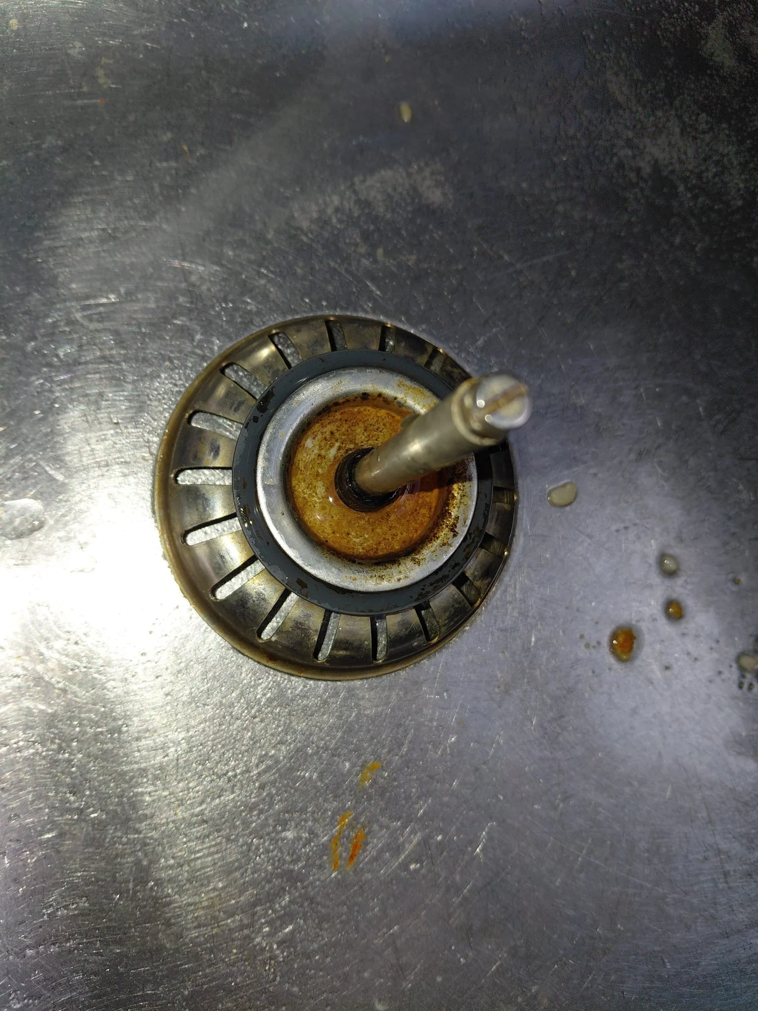 WhatsApp Image 2026-02-28 at 21.26.35.jpeg