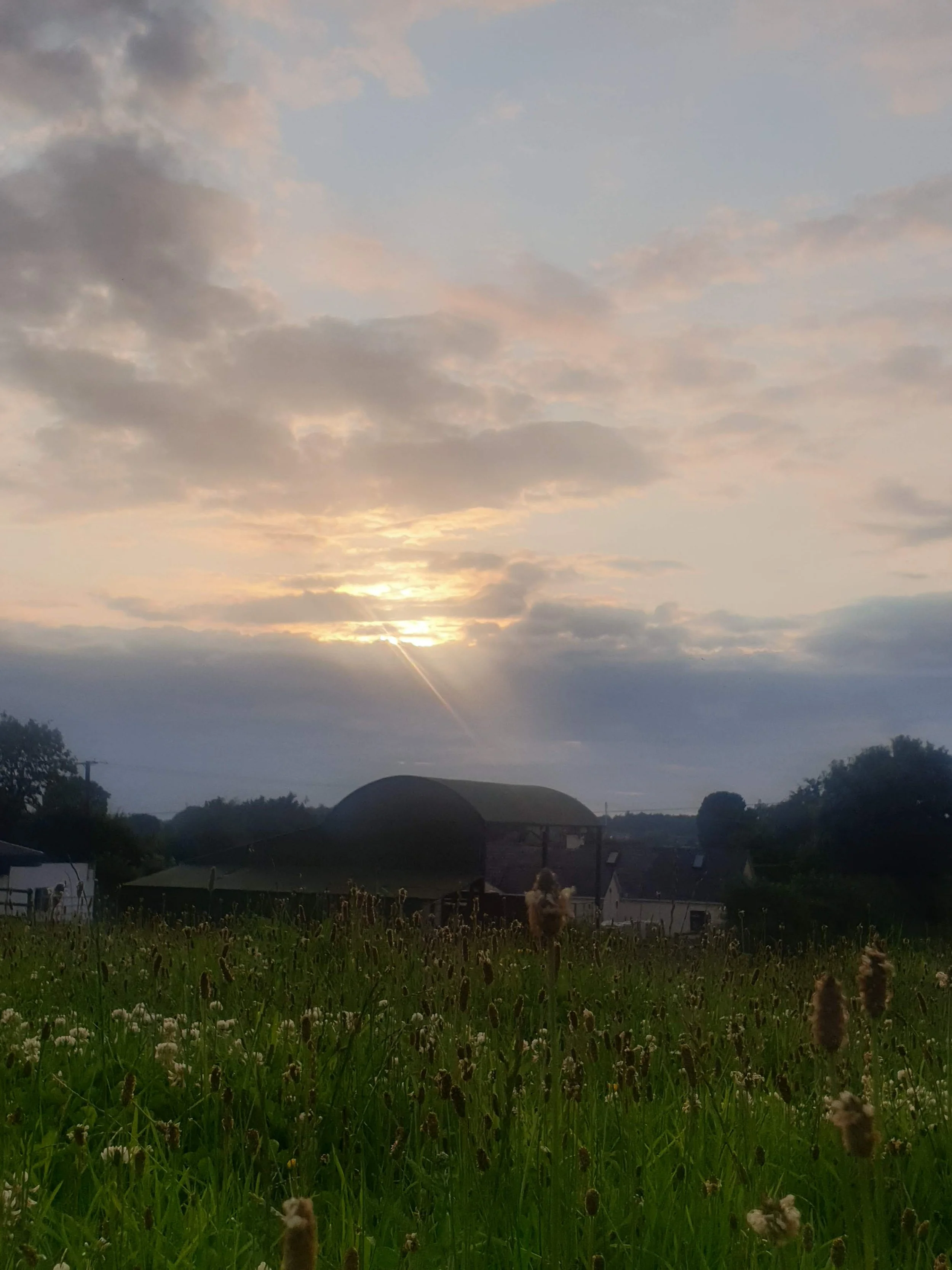 #complementary , #Holistic,#Wellness, #Therapy, #health, #Co. Laois.