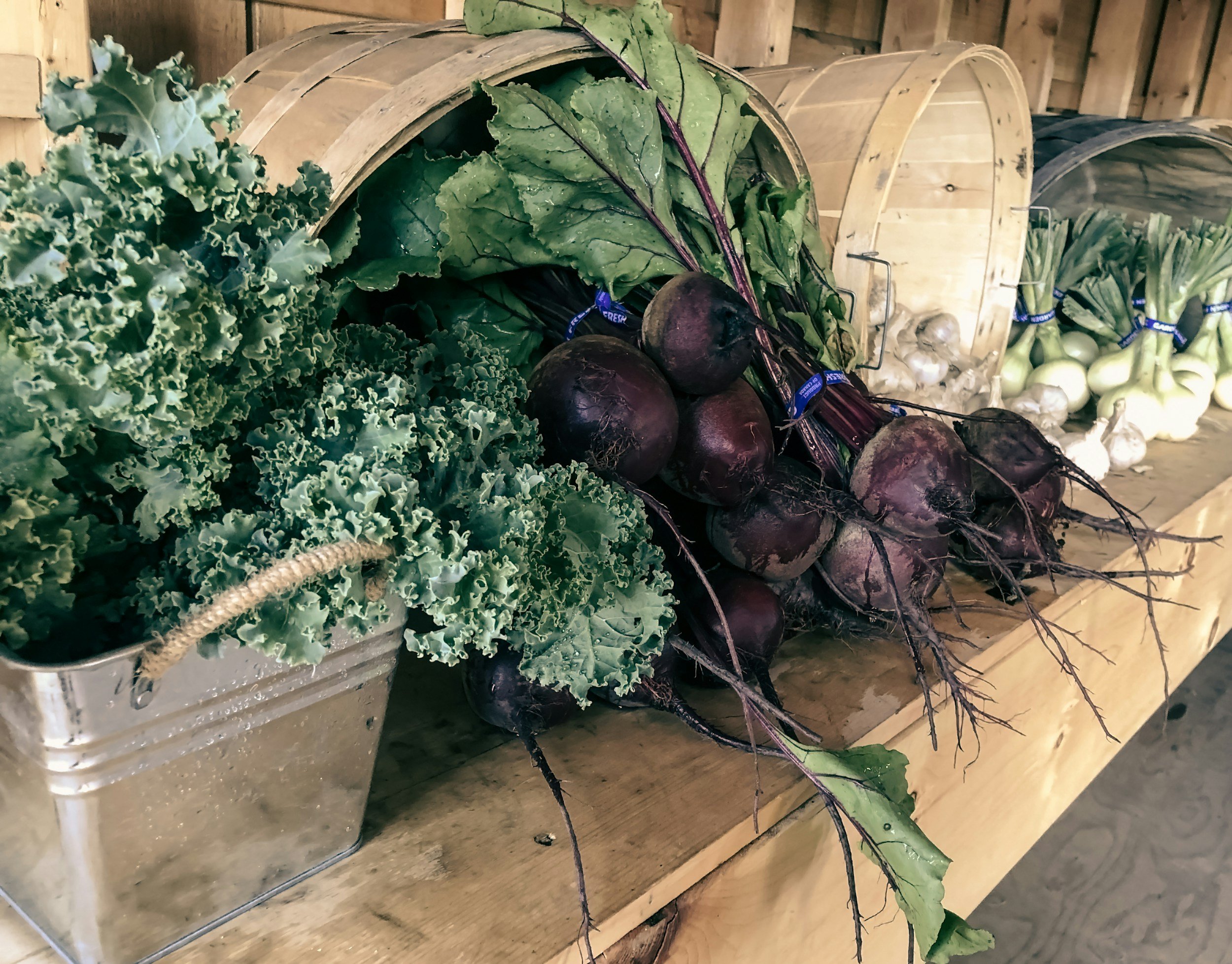 Nutrient-dense foods for postpartum wellness and lactation