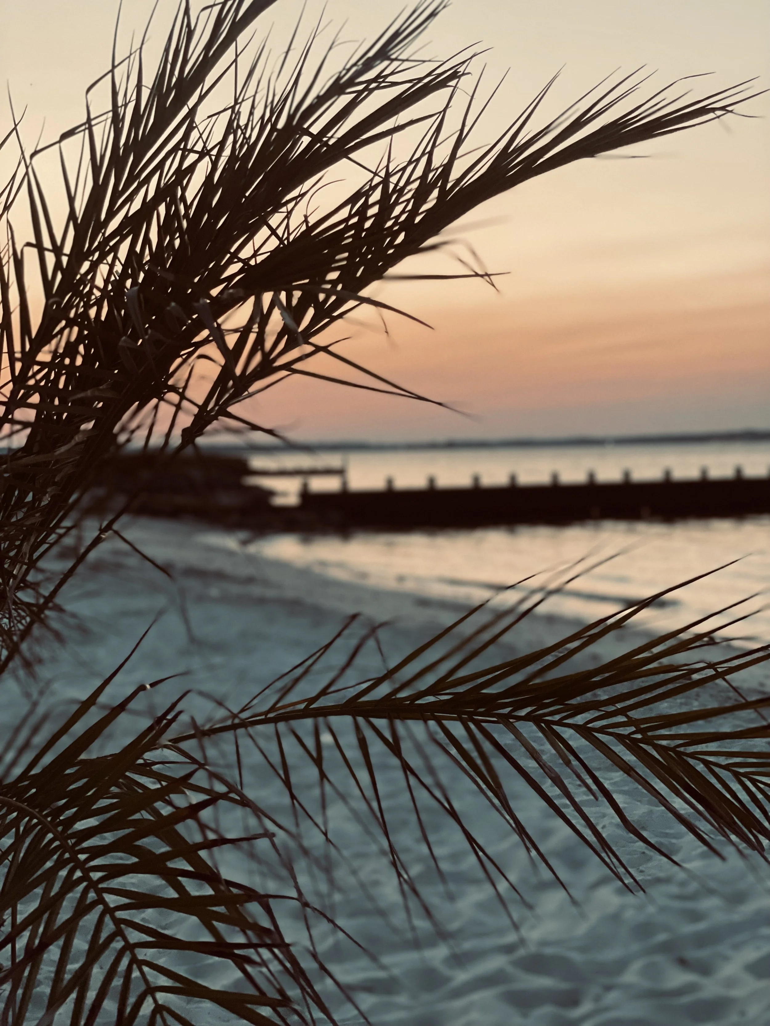 Golden light, growing girls, and love that only gets stronger.
