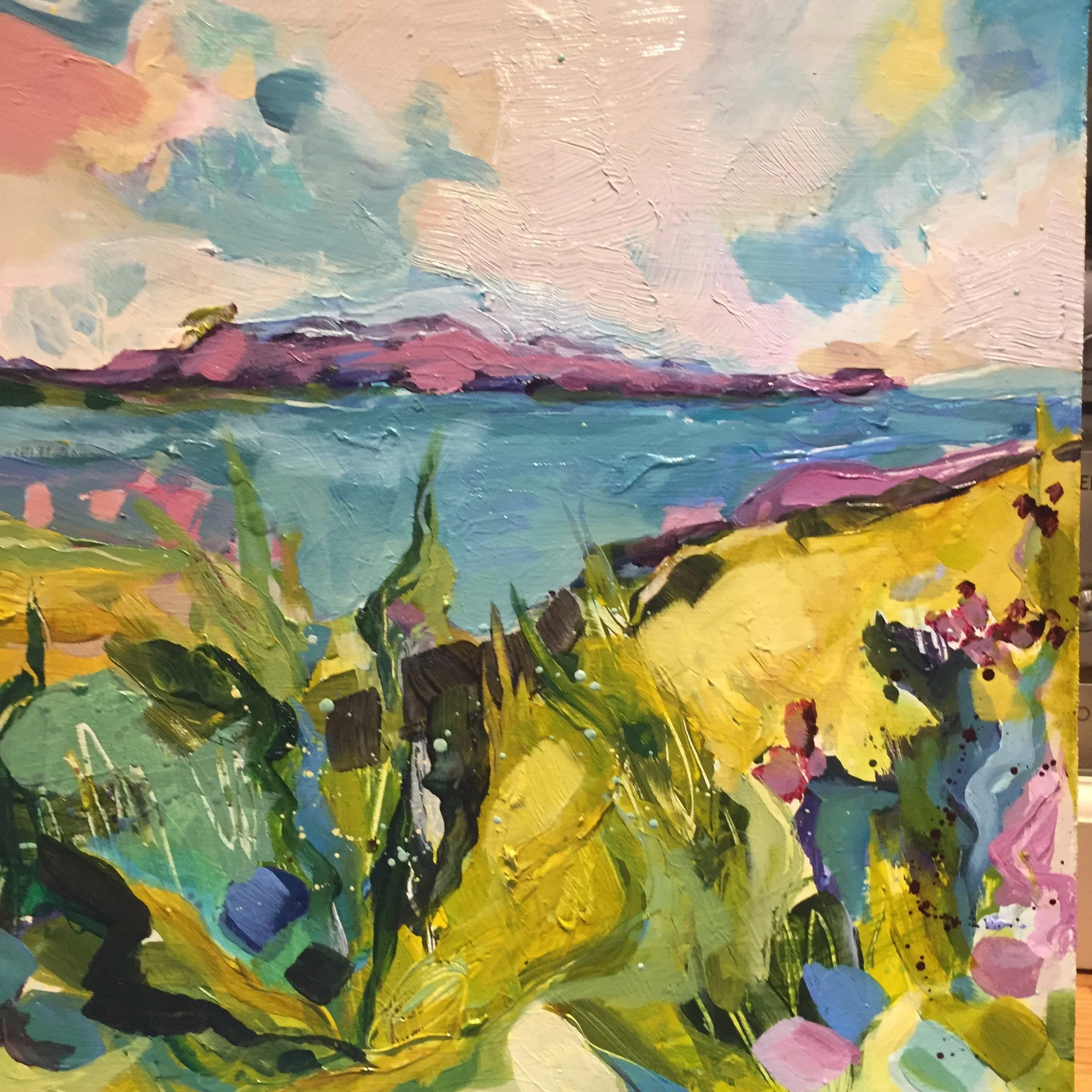 2020, The coastal path at Daymer (A0029)