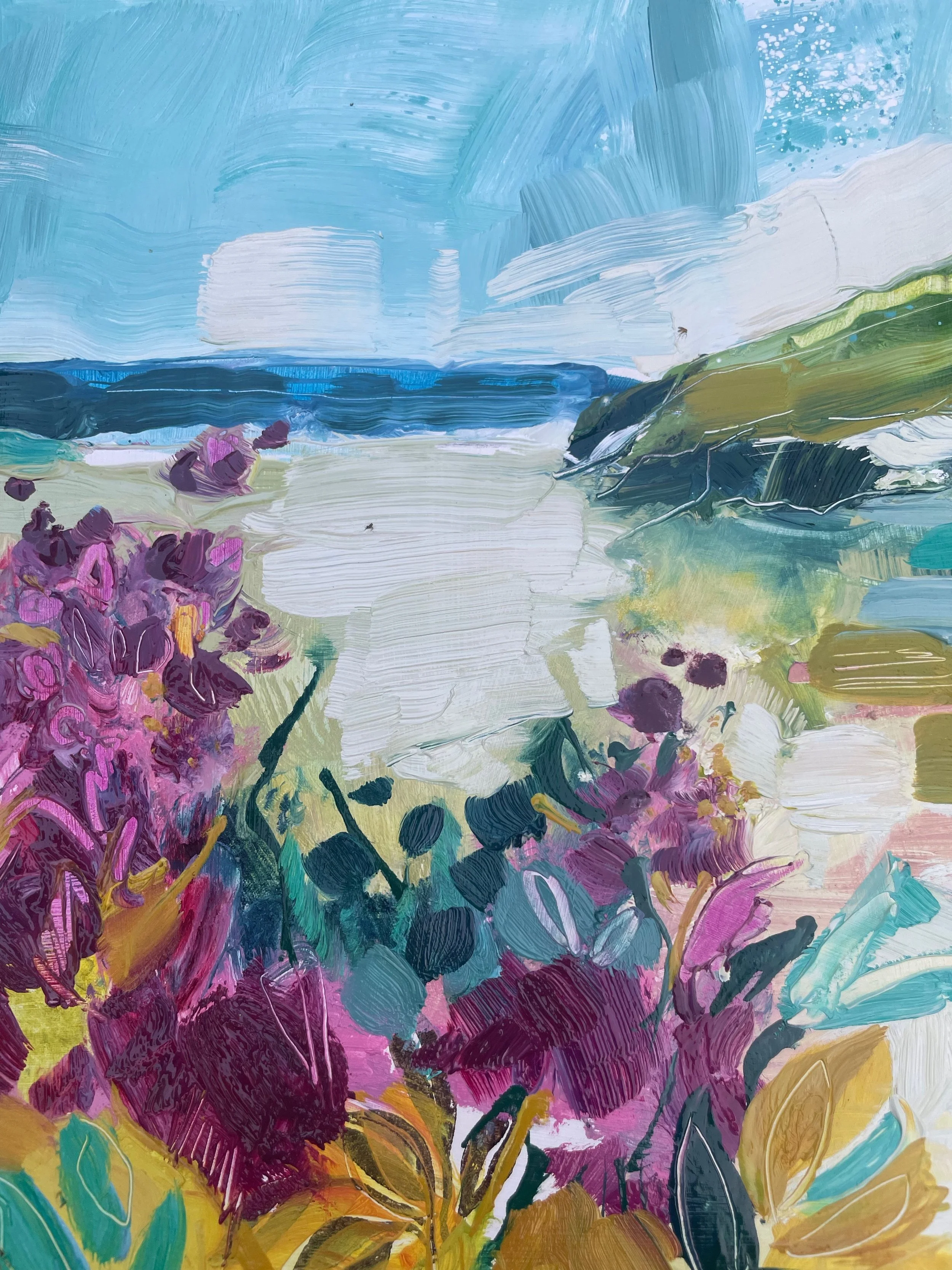 2023, Wild Valarian at Porthcothan 2 (A0104)