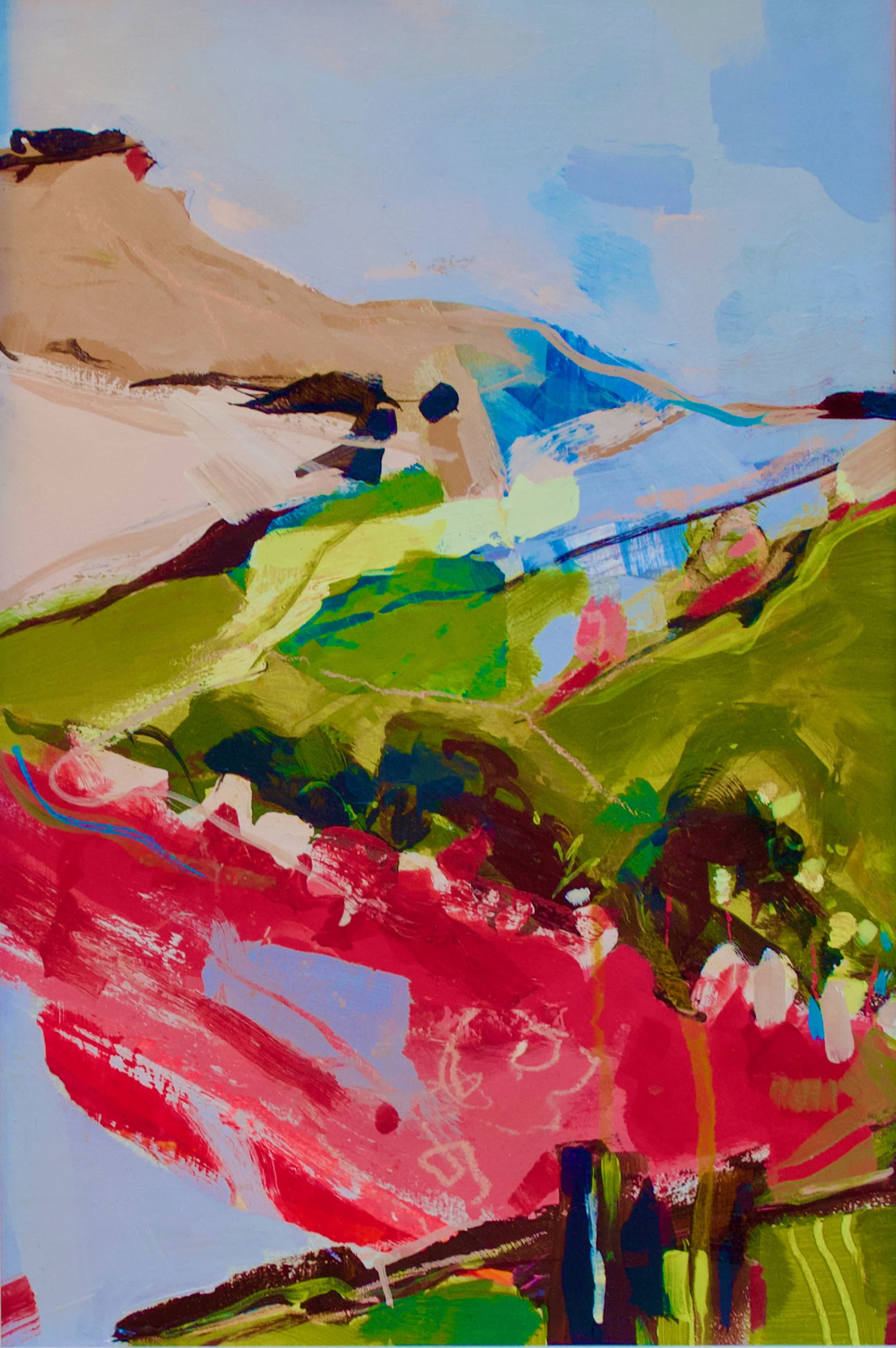 Let's Take a Walk, the Peak District