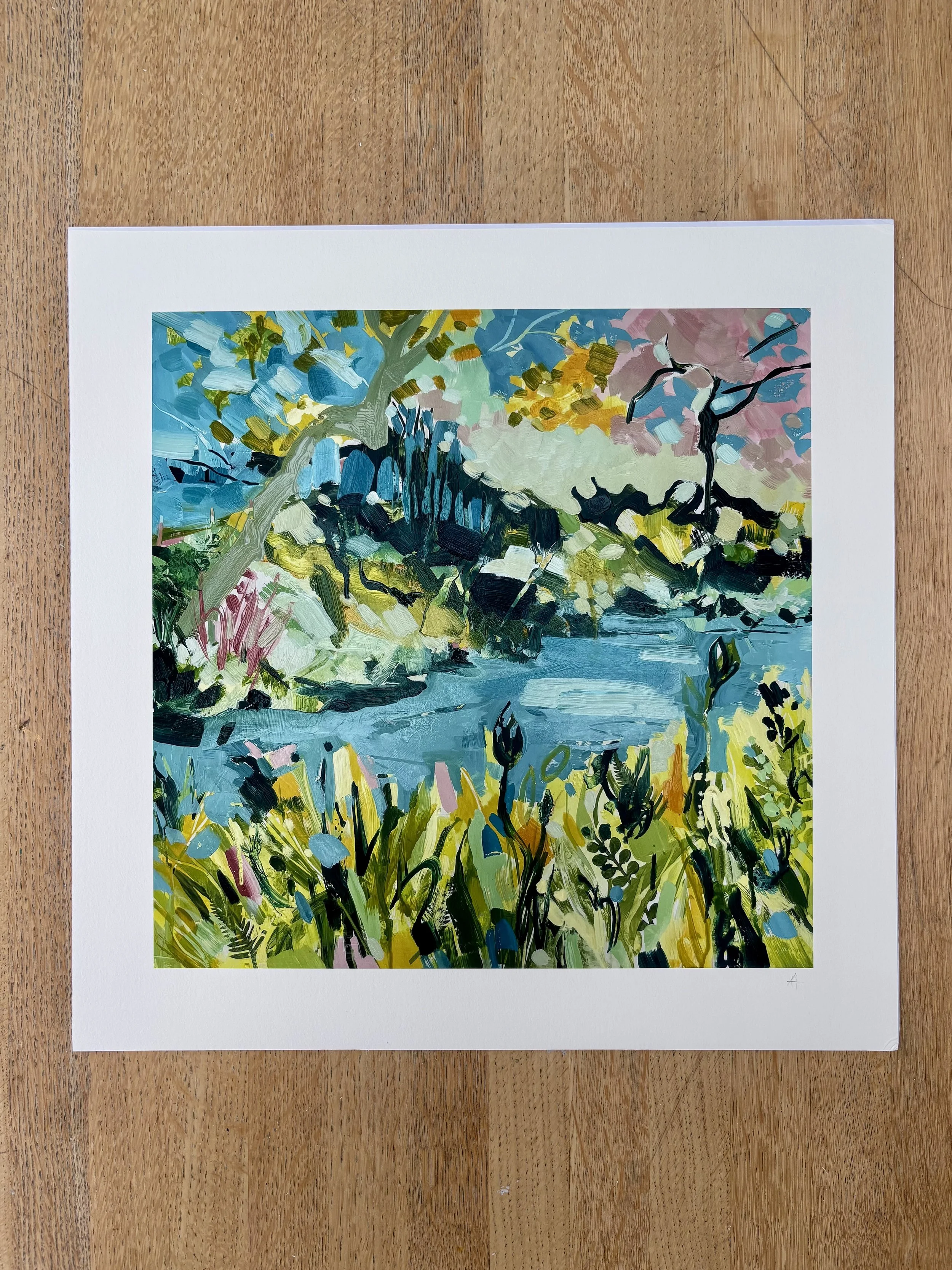 Spring at Trebah Gardens