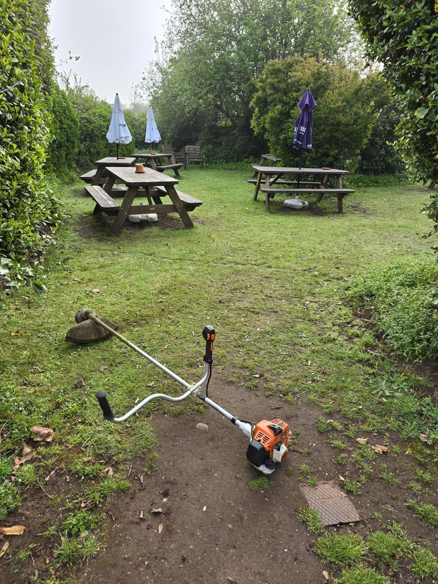 A backyard with four wooden picnic tables, some with umbrellas, surrounded by greenery and trees. In the foreground, there is a grass trimmer lying on the ground.