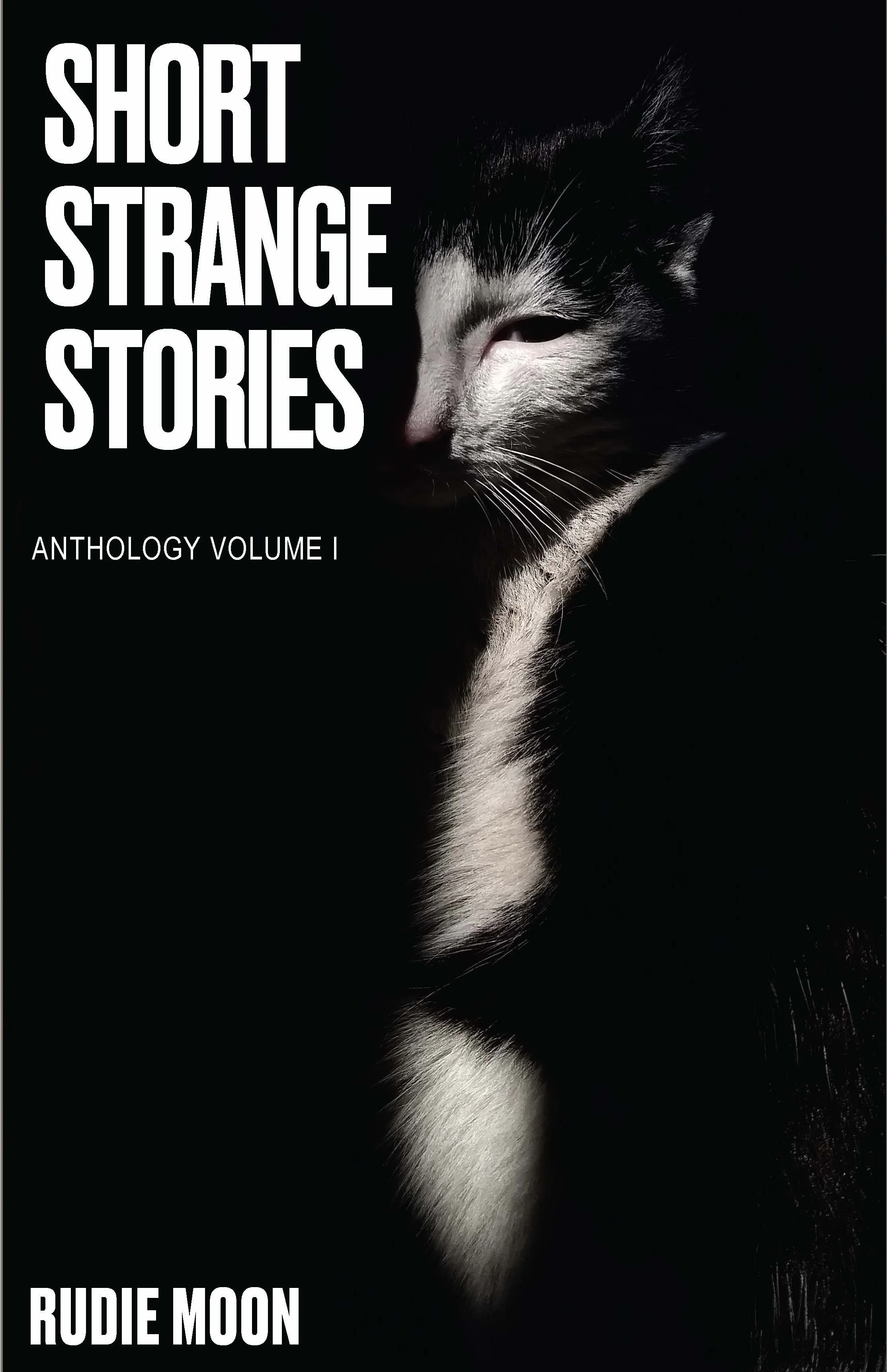 SST Cover1_Page_1.jpg