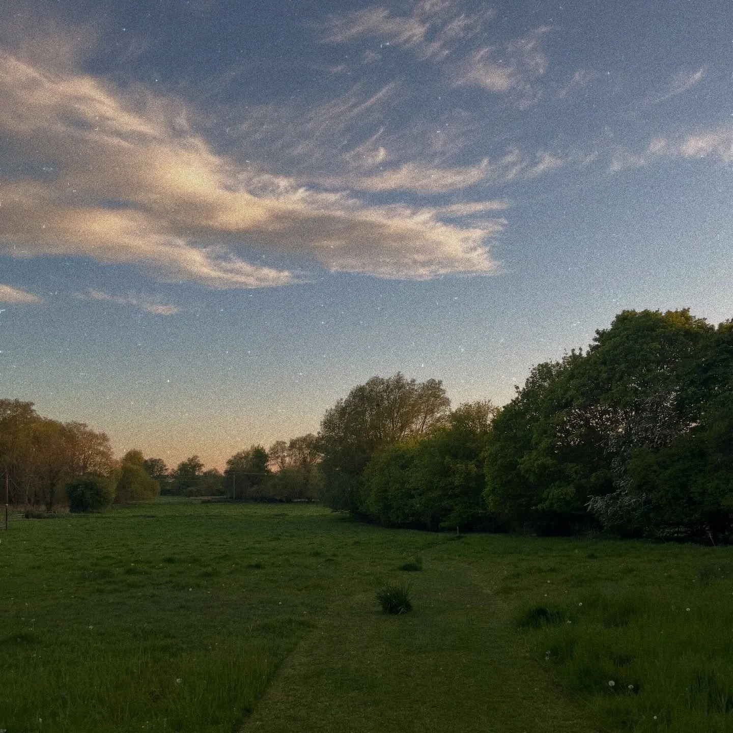The name Lions Row was inspired by the gorgeous footpath leading from our campsite down towards the wonderful @thewhitelioninn pub in Ufford. Here are a selection of pictures highlighting the beautiful views to be enjoyed along the path. Watch this s