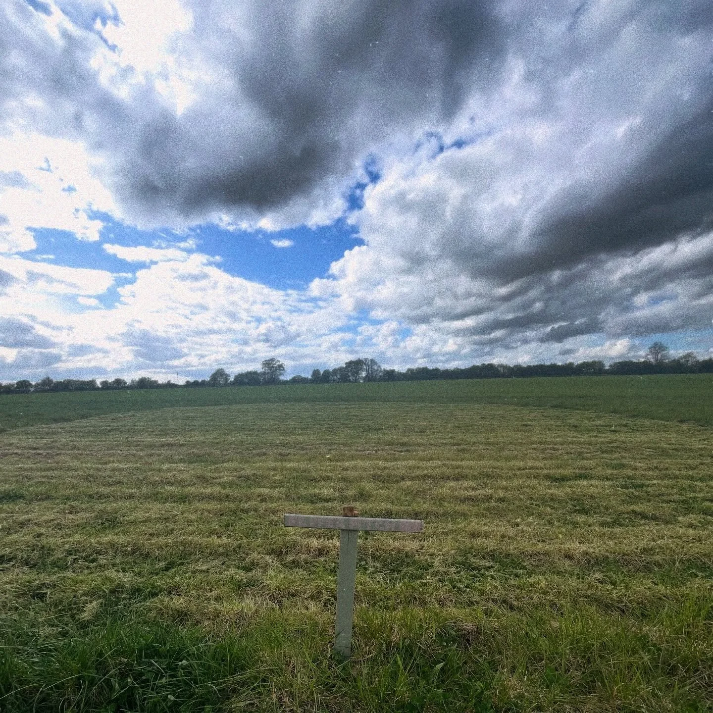 First few pitches have been mowed and their signs are up! Lots of bookings coming in for next month, get your May stay at Lions Row locked in! 🥔🌸🥀🍑