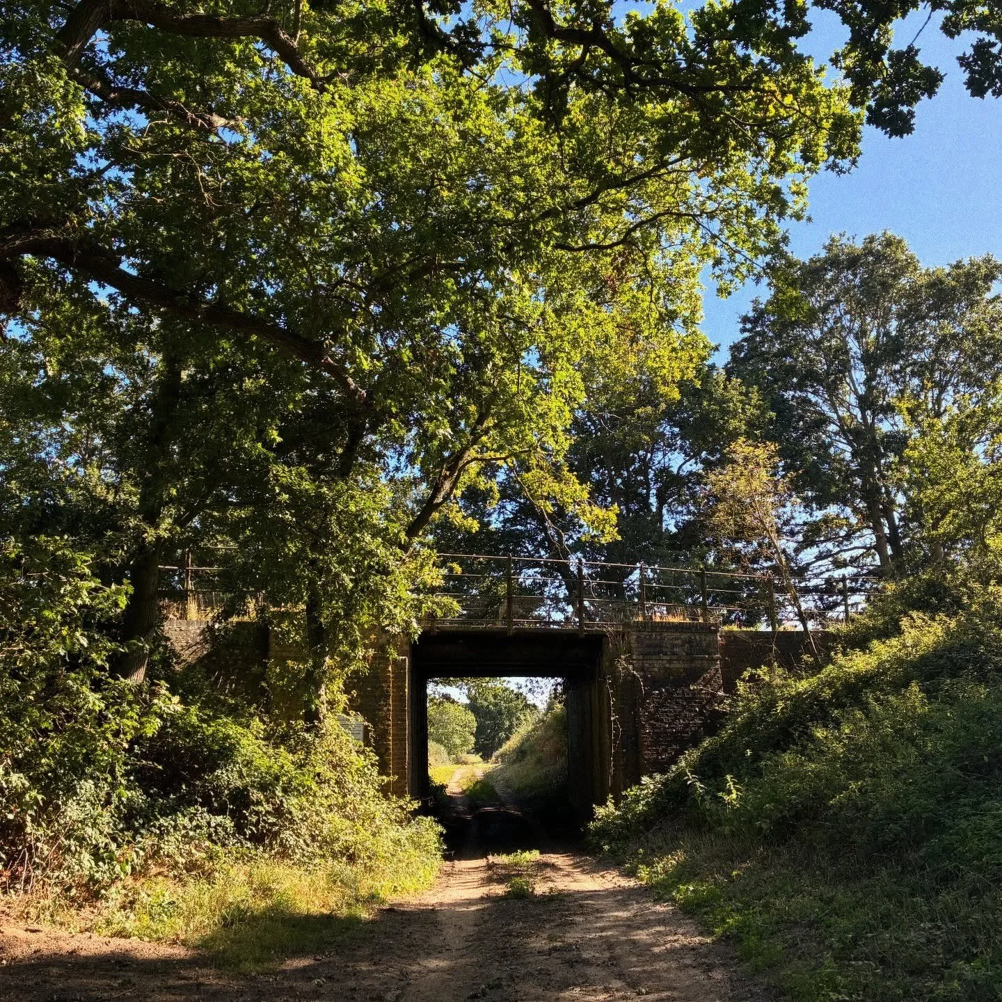 It&rsquo;s opener there,
in the wide open air.

Out there things can happen
and frequently do
to people as brainy
and footsy as you.

And when things start to happen,
don&rsquo;t worry. Don&rsquo;t stew.
Just go right along.
You&rsquo;ll start happen