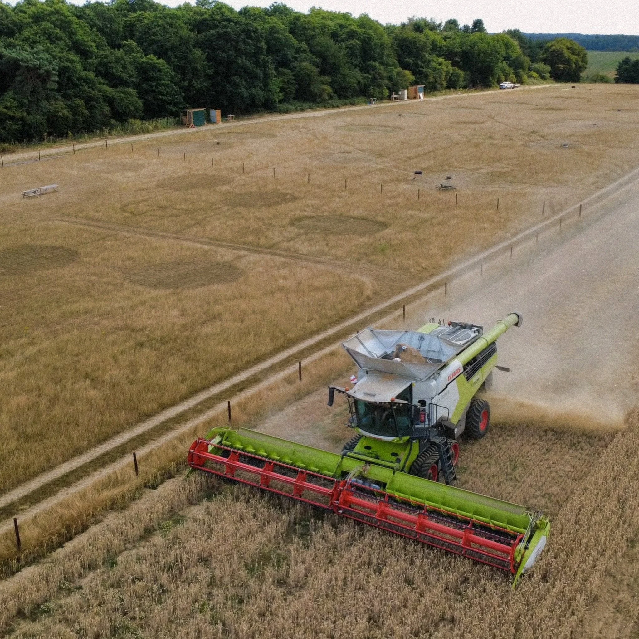 It&rsquo;s been an exciting few days here at Lions Row with this busy visitor harvesting the crops that surround the campsite. And now their work here is complete, there is a huge stubble field to play on right next to your pitch. We love having our 
