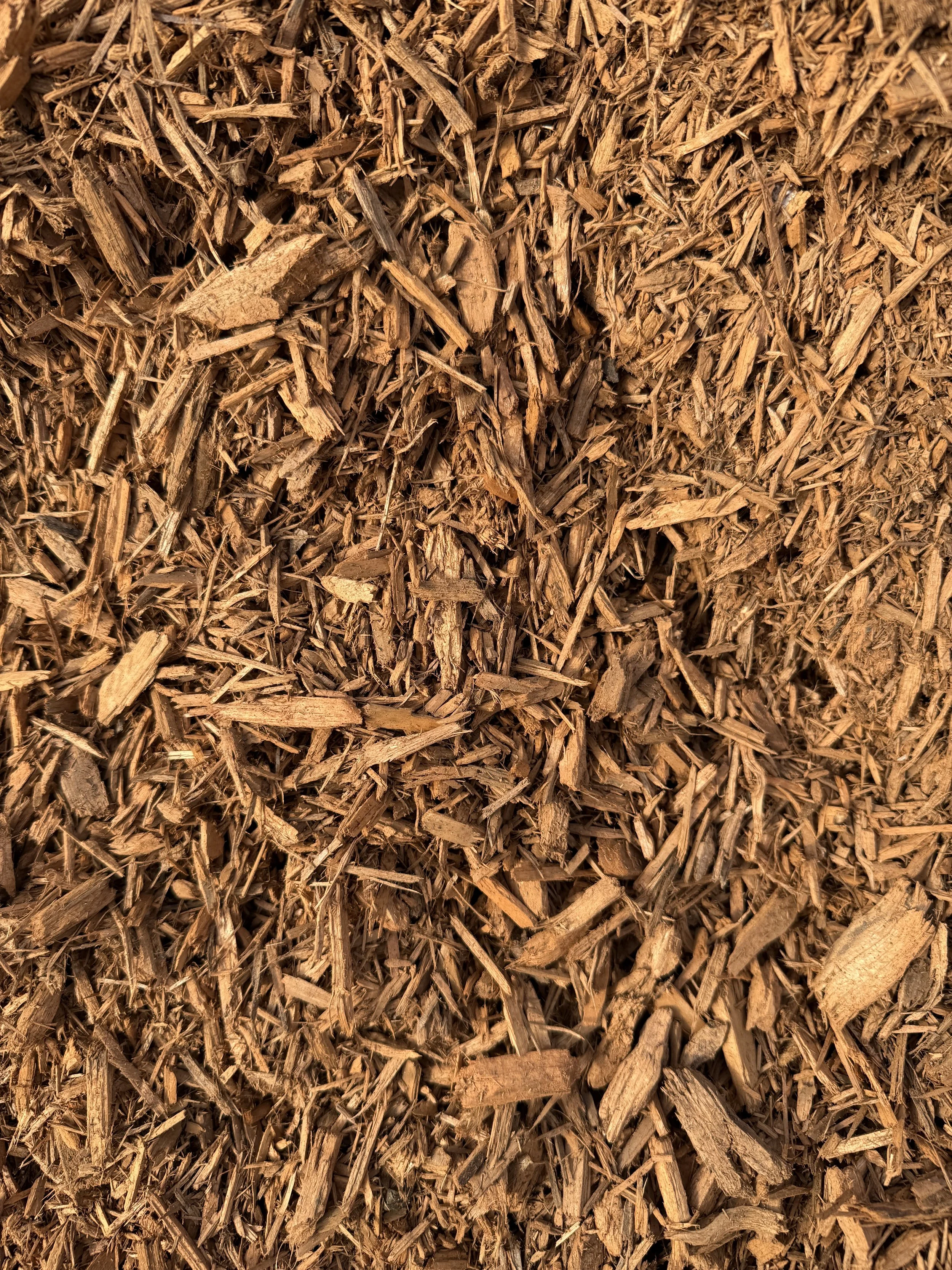 gold mulch.jpg