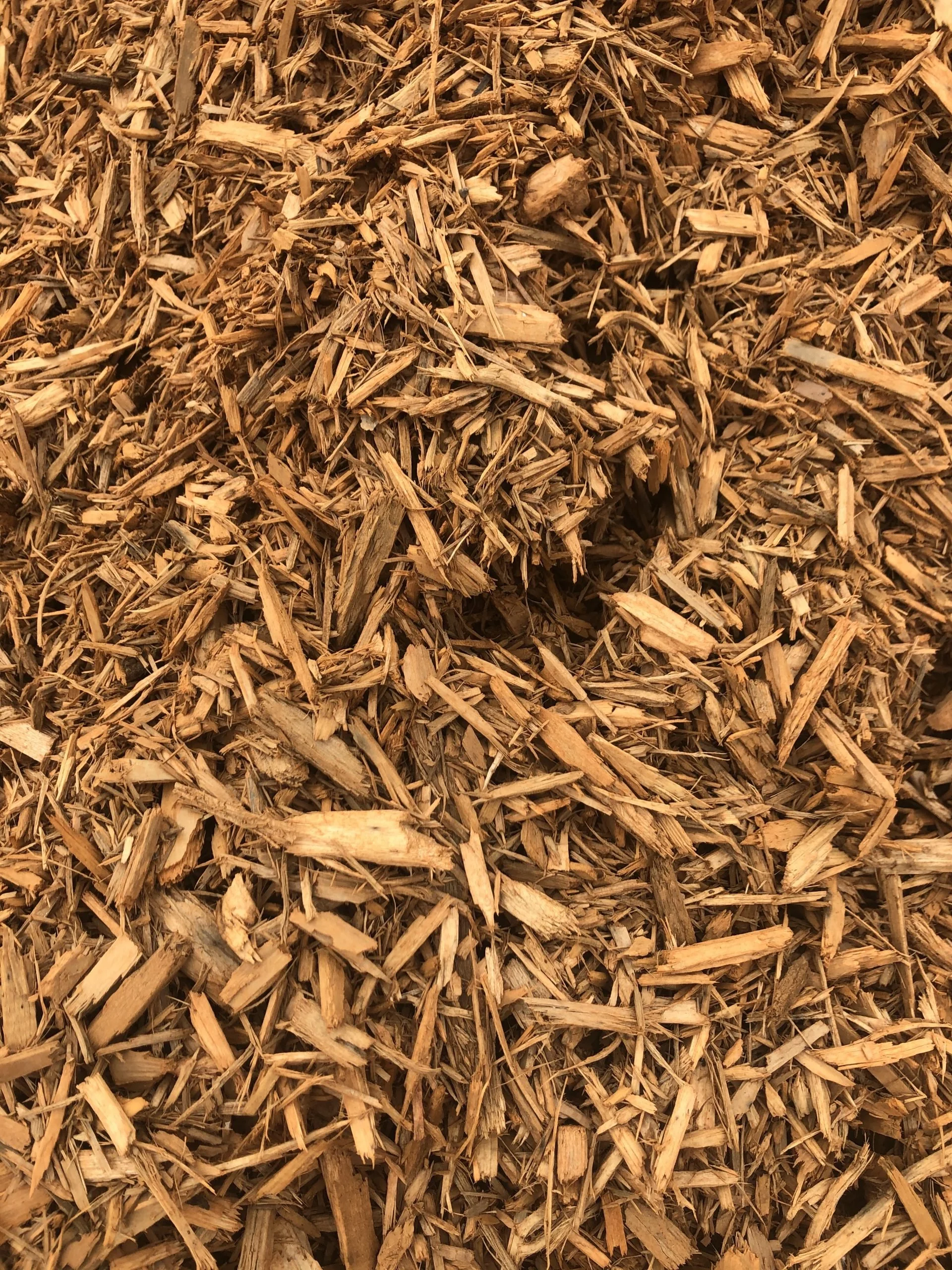 Gold-Mulch-scaled.jpg