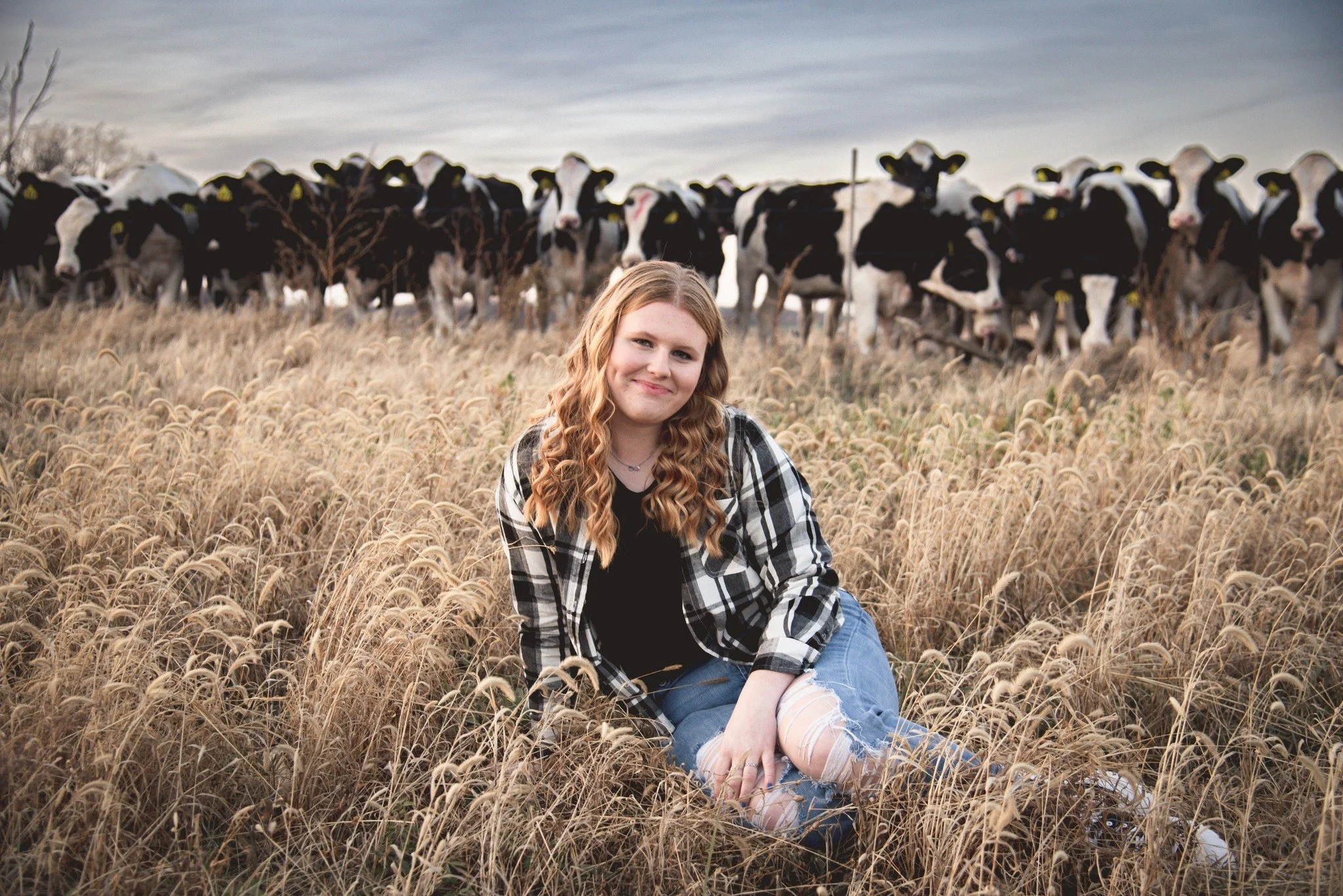 A young woman with long curly hair sitting in a field of dried grass, with a herd of black and white cows in the background under an overcast sky.