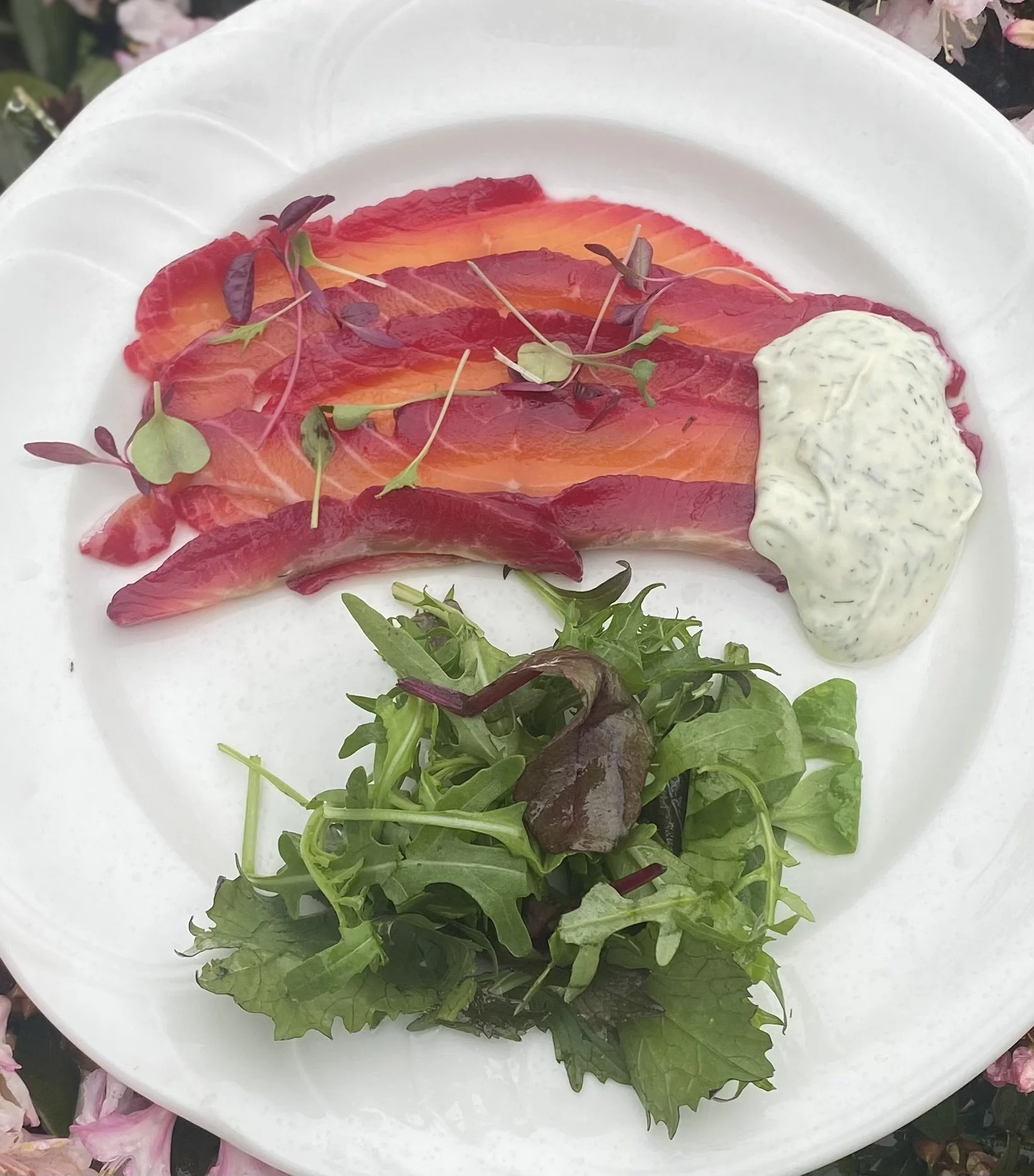 Home made beetroot infused gravlax with a dill and mustard sauce