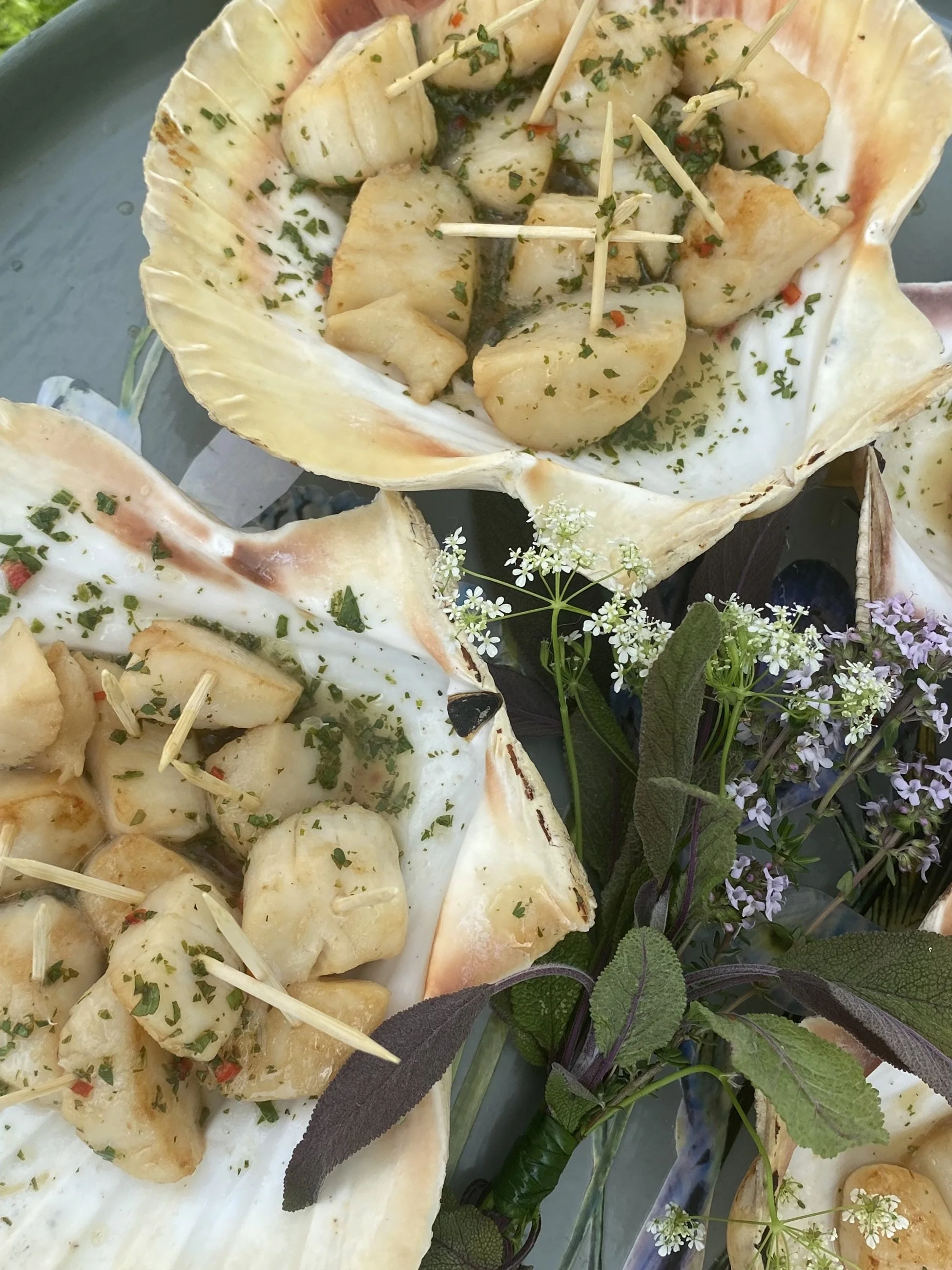 Seafood scallops served in a large shell, topped with herbs and garnished with flowers and green leaves.