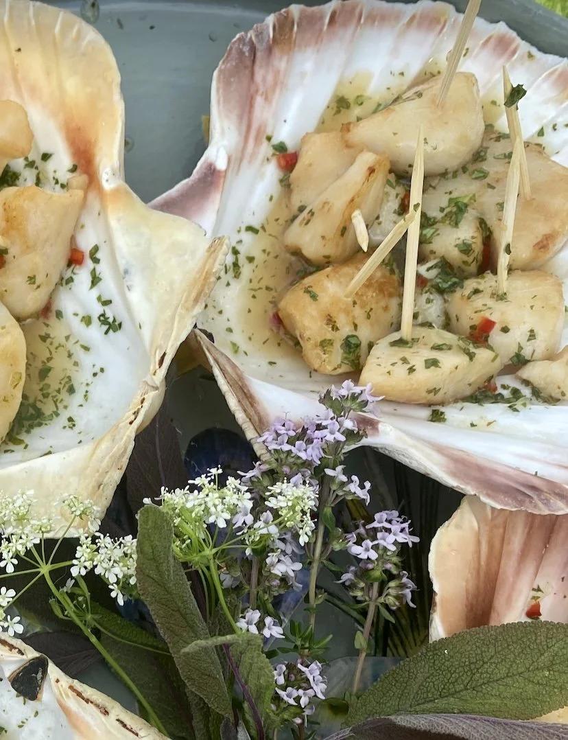 Scallops in an asian style dressing