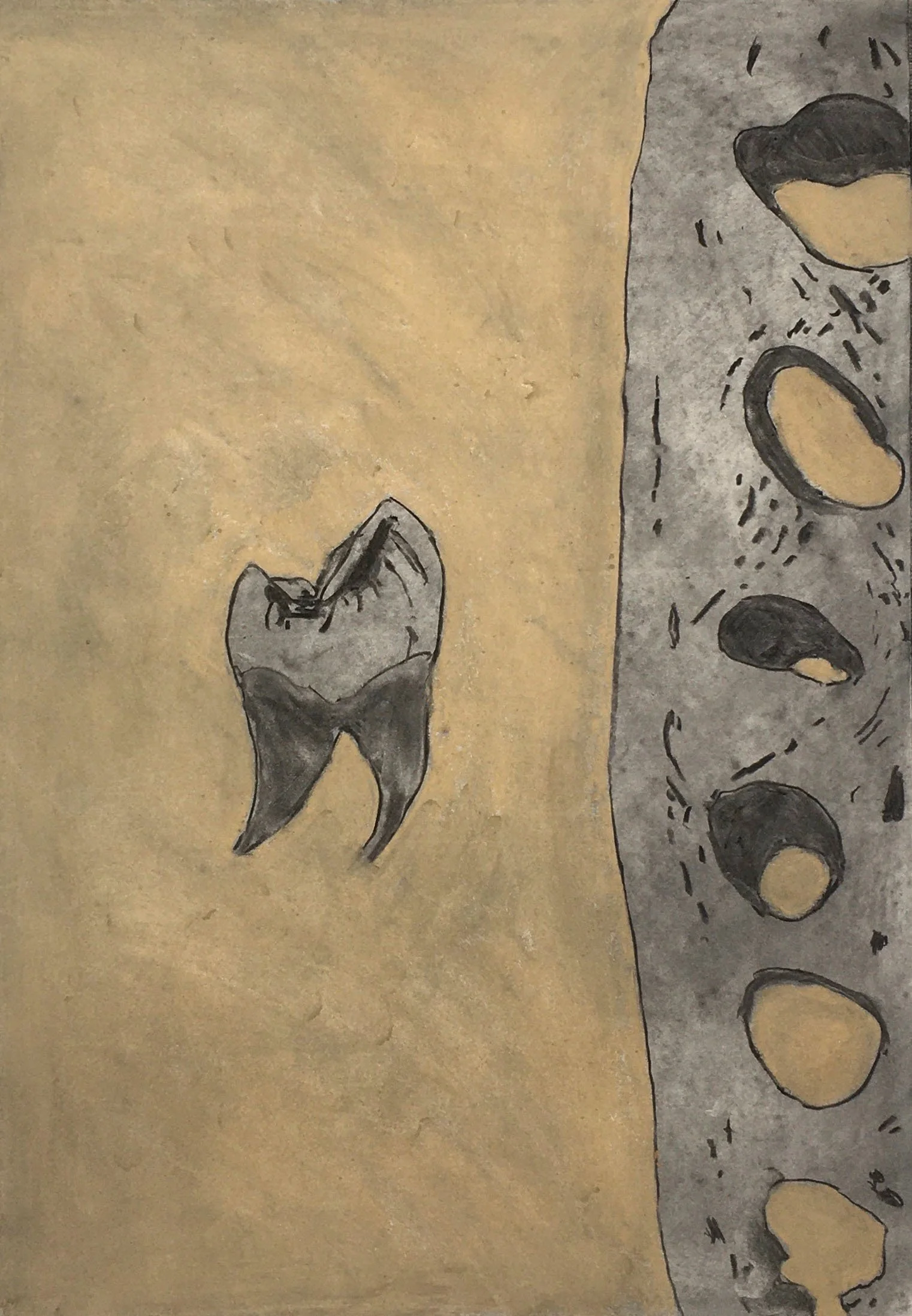 tooth and jaw_drawing_2020.jpg