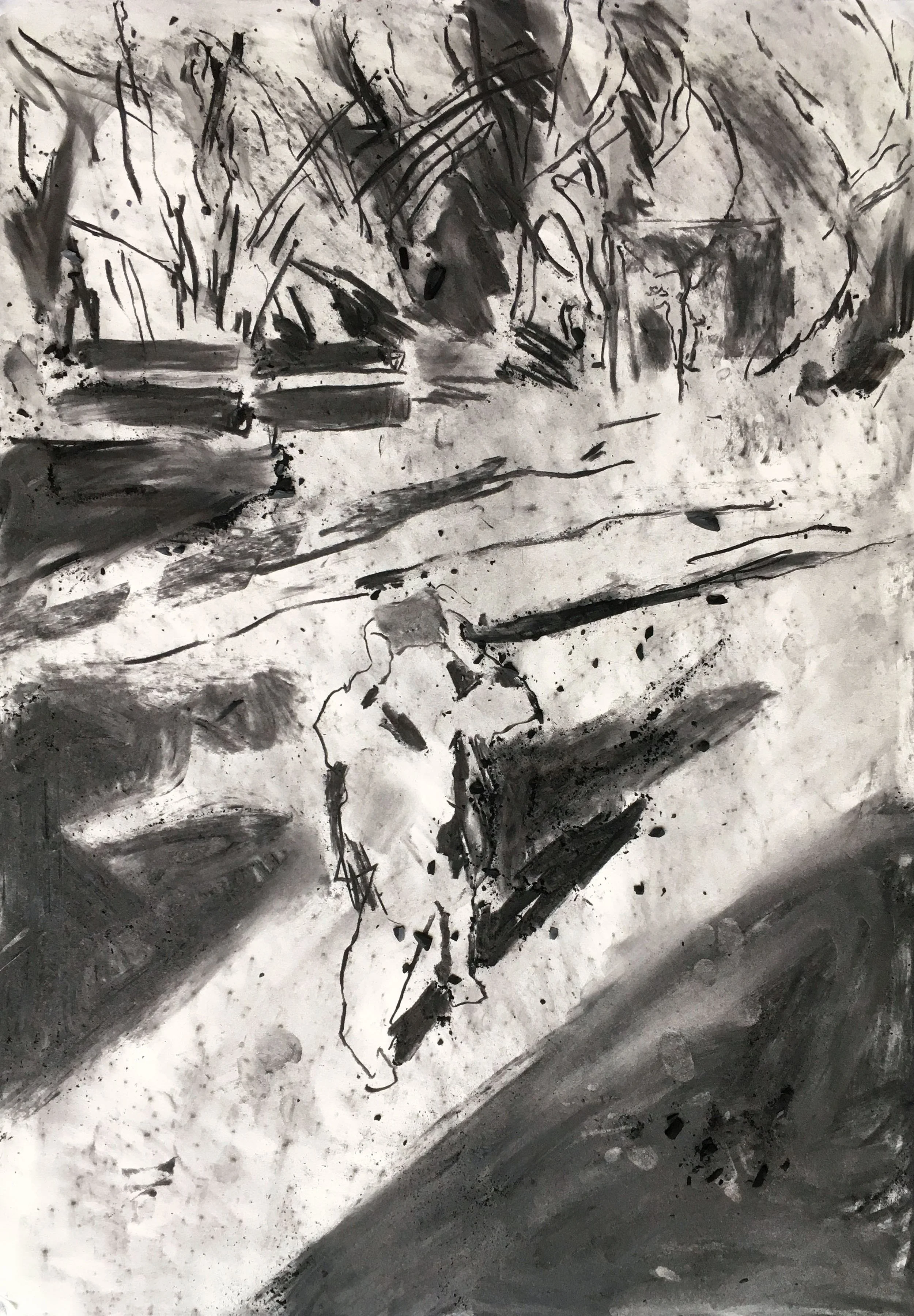 Searching for a Tree_2020.jpg