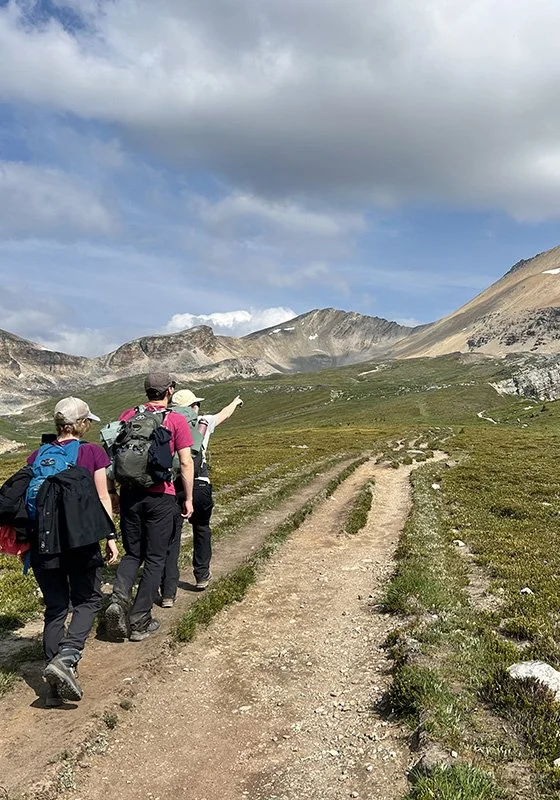 Hikers on a wide, easy trail through an alpine meadow in the Rockies