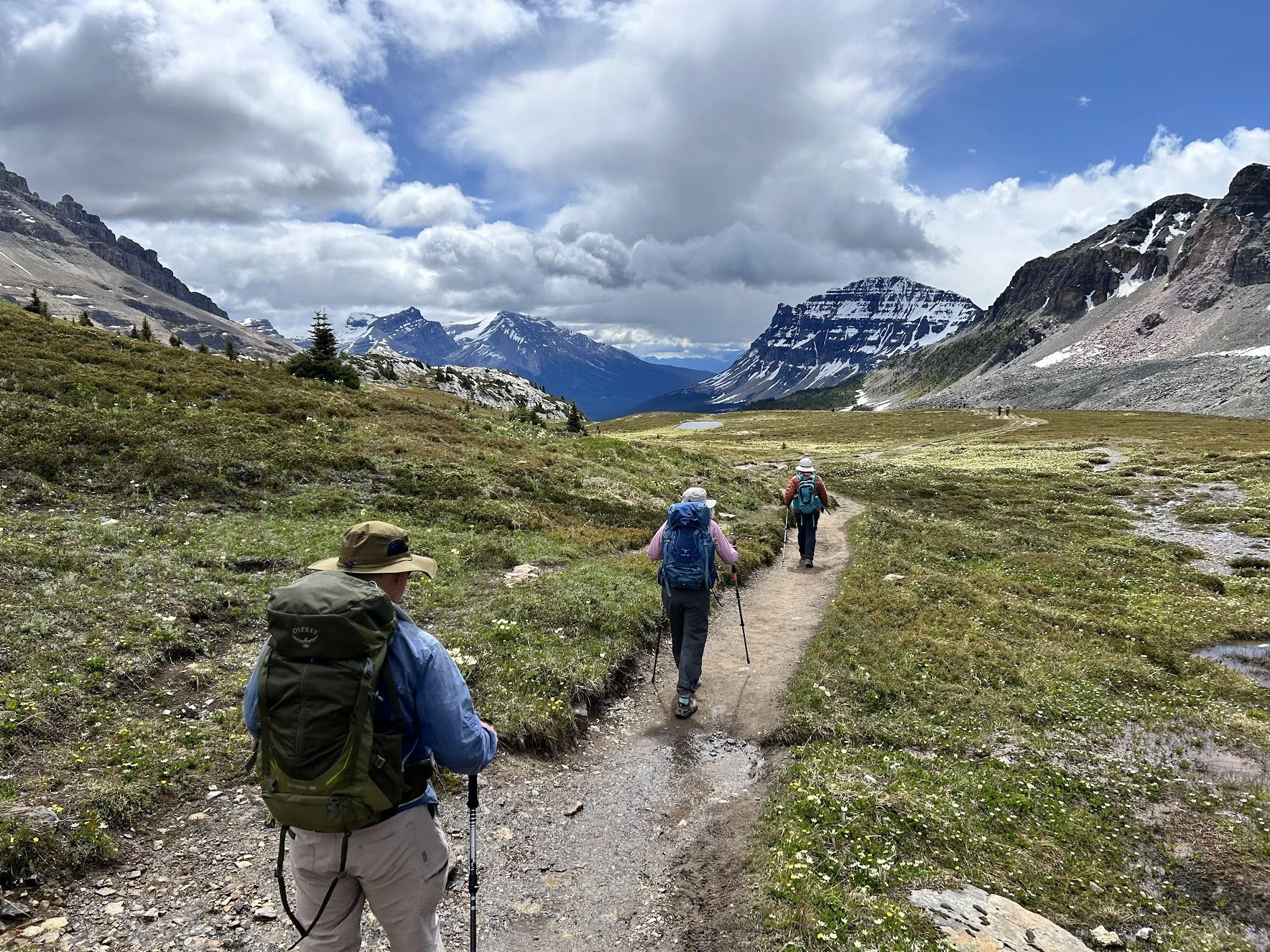 Guests on a luxury multi-day day hiking tour walking along an alpine trail in the Canadian Rockies.