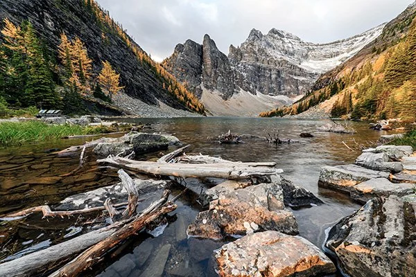 Lake Agnes above Lake Louise in Banff National Park, with larches turning gold